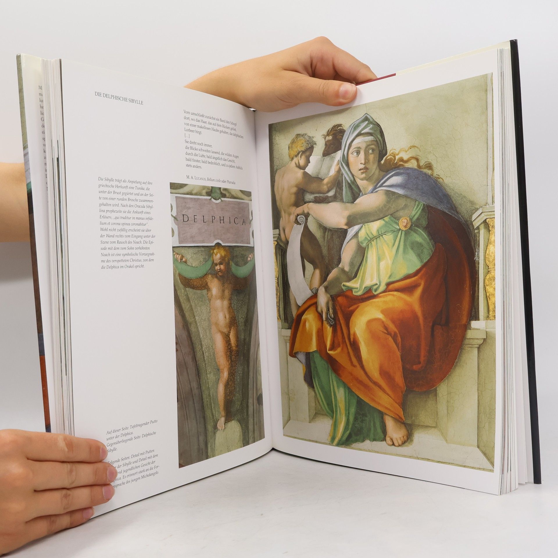 Auteurscollectief Die Sixtinische Kapelle