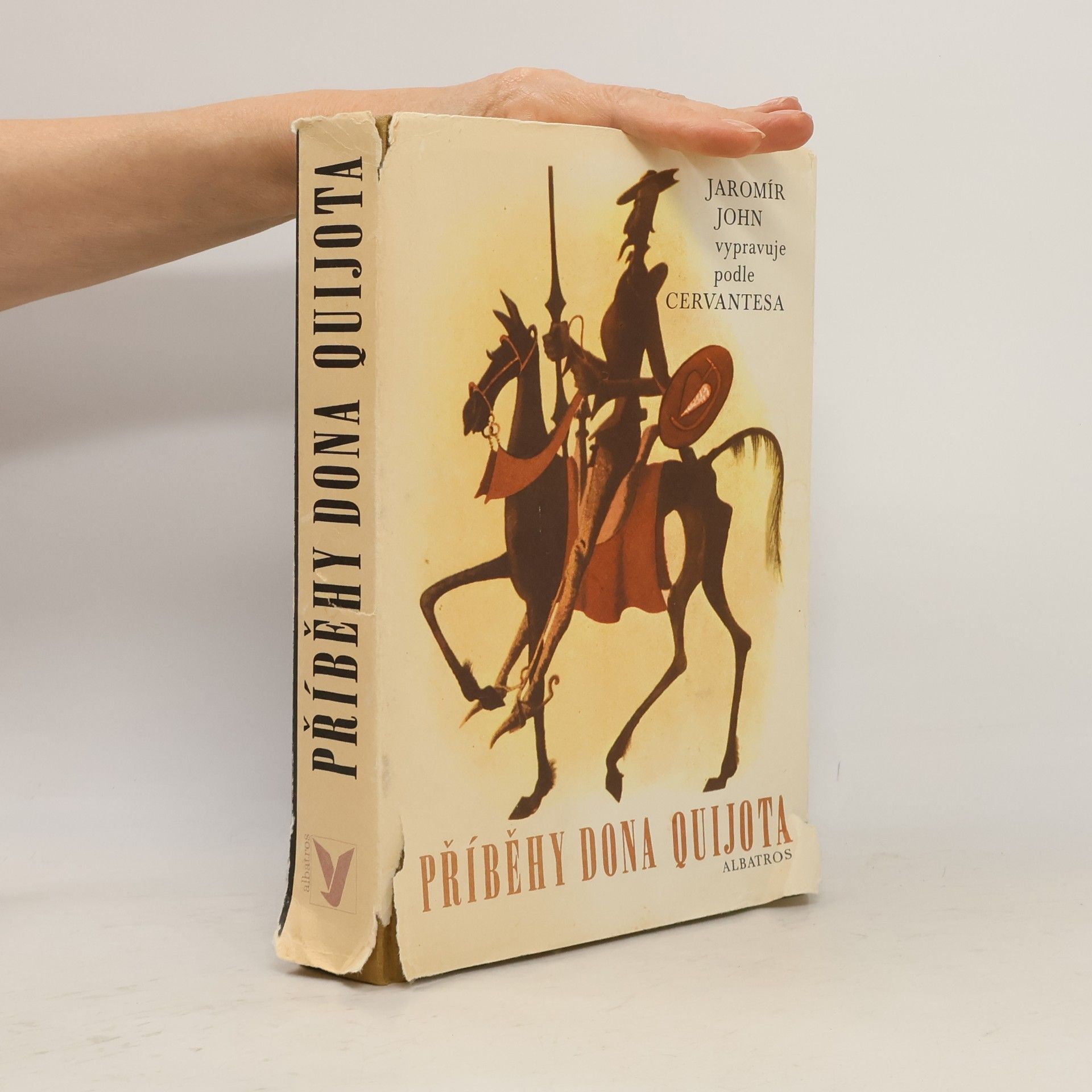 Miguel de Cervantes y Saavedra Příběhy Dona Quijota