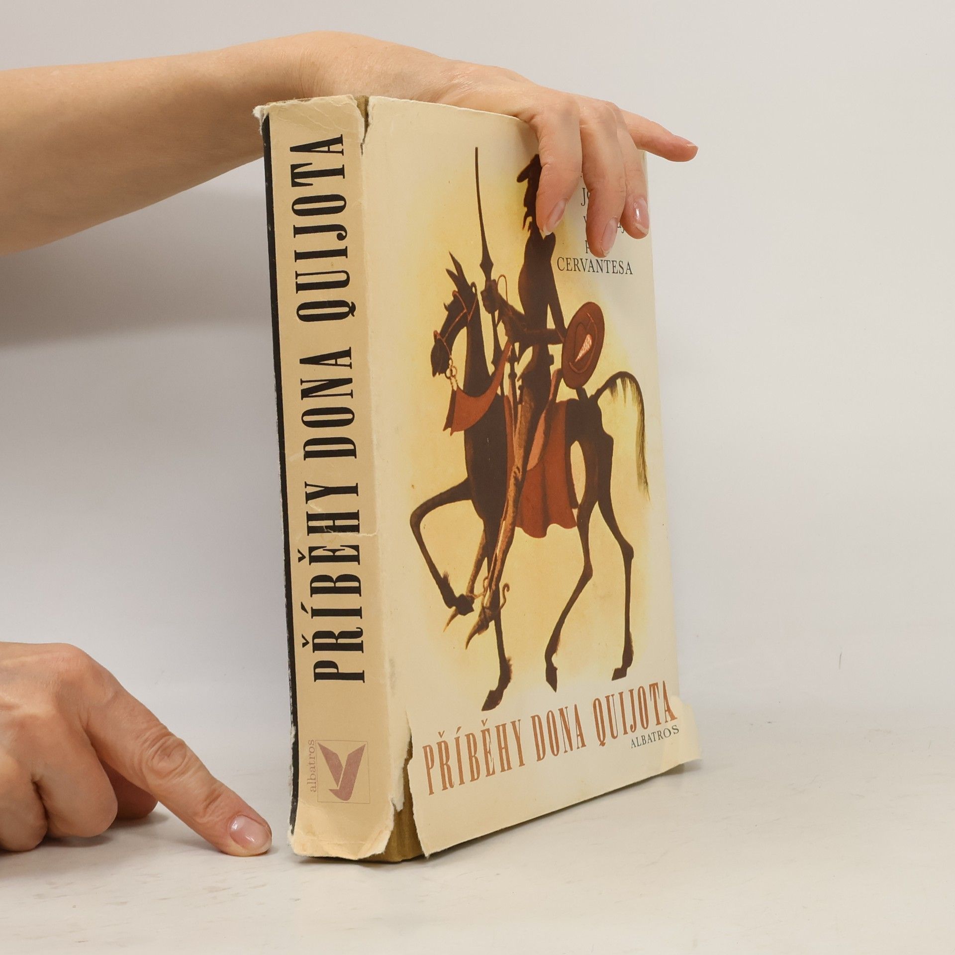 Miguel de Cervantes y Saavedra Příběhy Dona Quijota