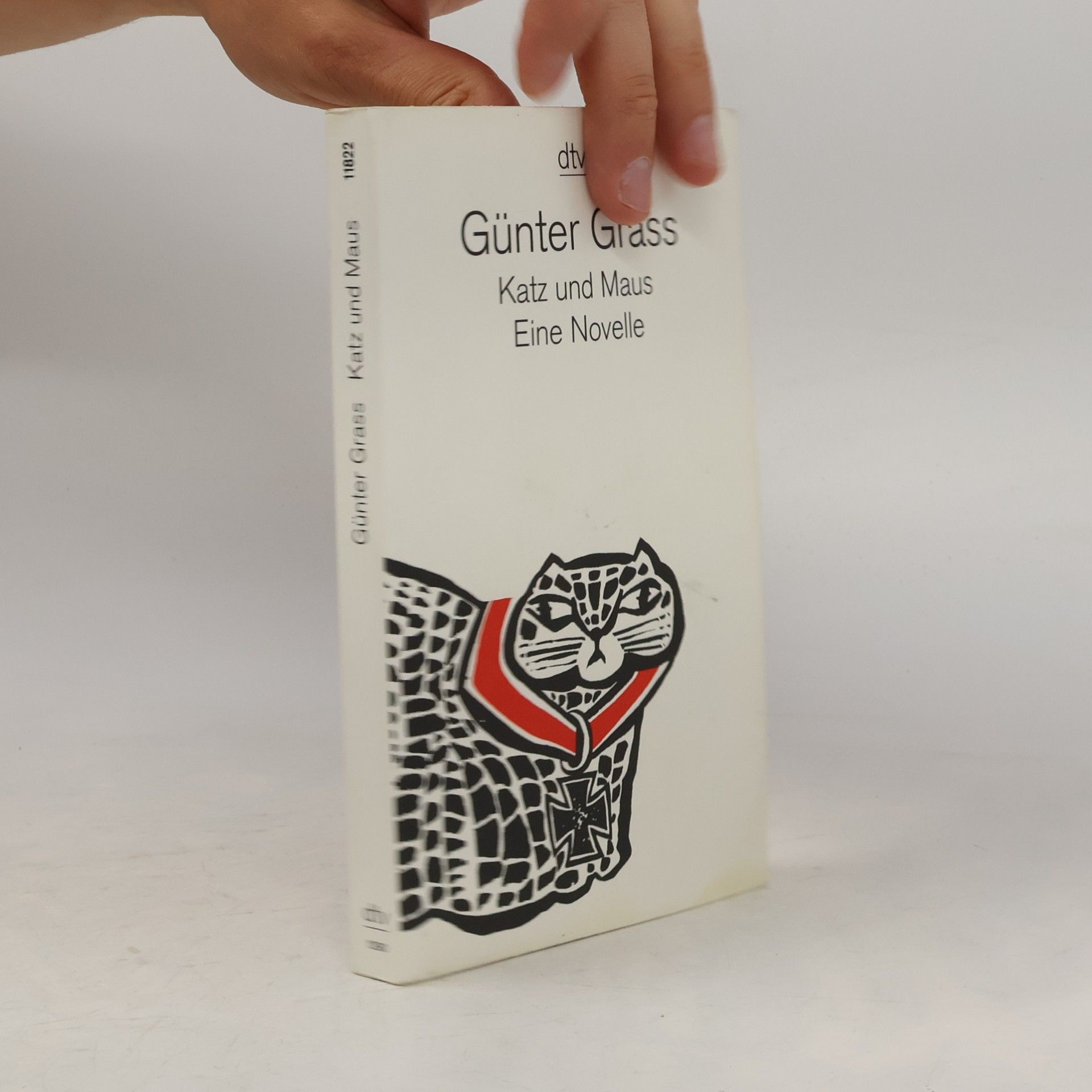 Günter Grass Katz und Maus. Eine novelle