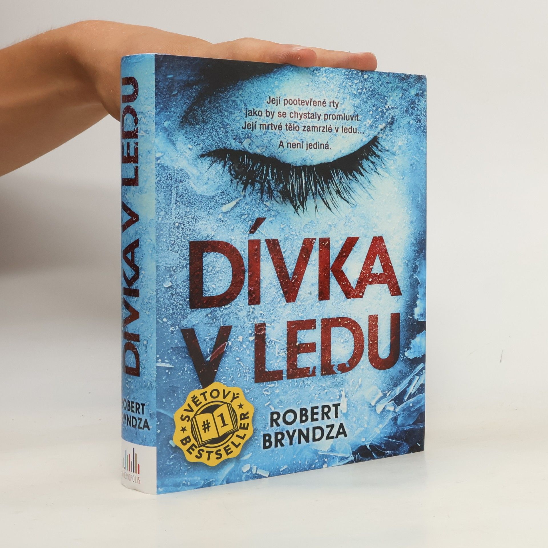 Robert Bryndza Dívka v ledu