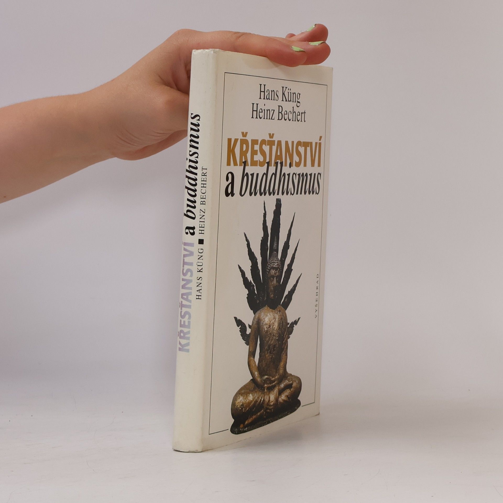 Hans Küng Křesťanství a buddhismus. Na cestě k dialogu