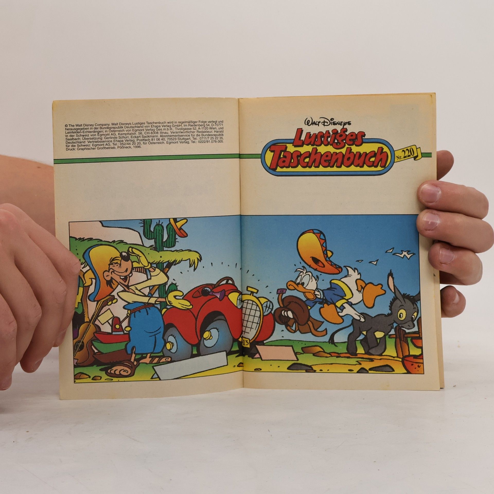 Walt Disney Lustiges Taschenbuch 220. Das Geheimnis des 313
