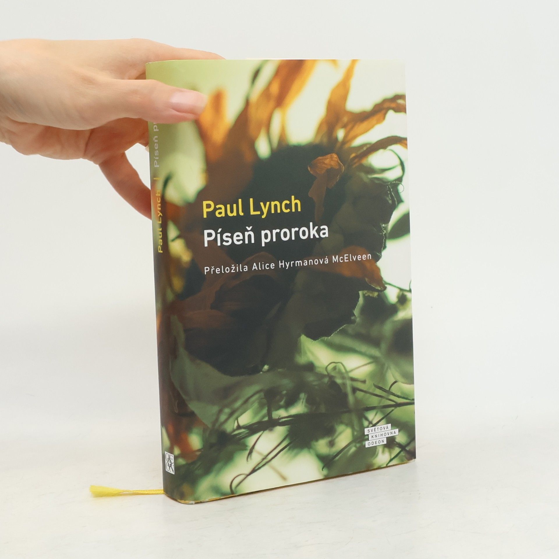 Paul Lynch Píseň proroka