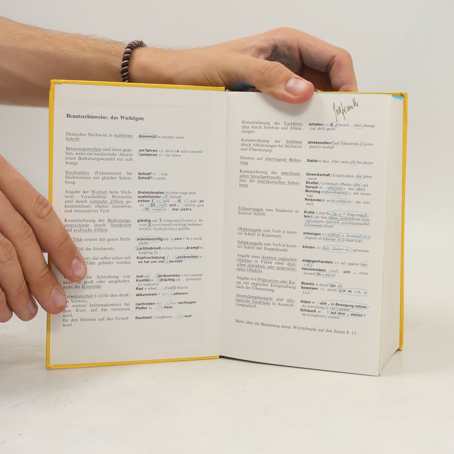 Sonia Brough Langenscheidts grosses Schulwörterbuch