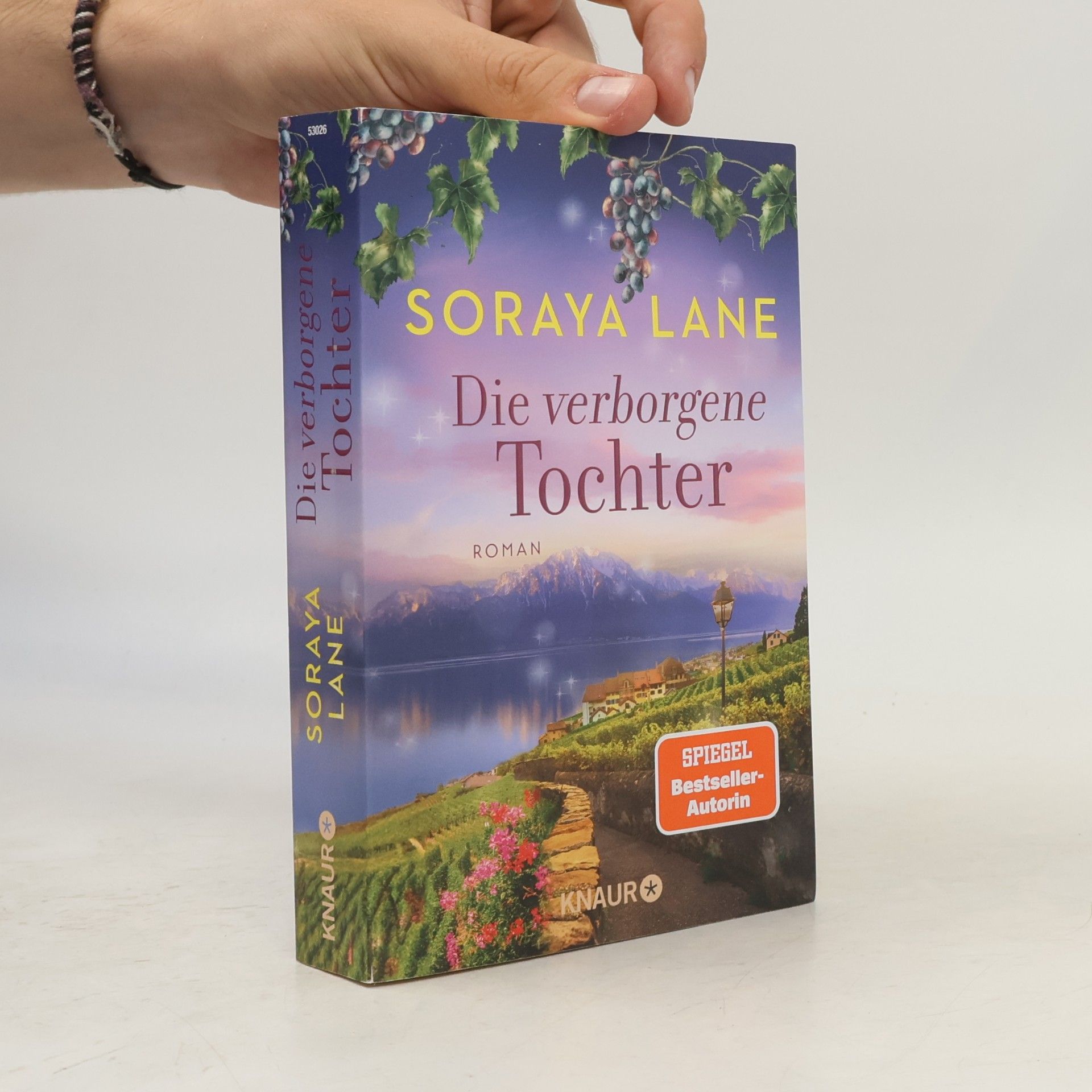 Die verborgene Tochter / Die verlorenen Töchter Bd.4