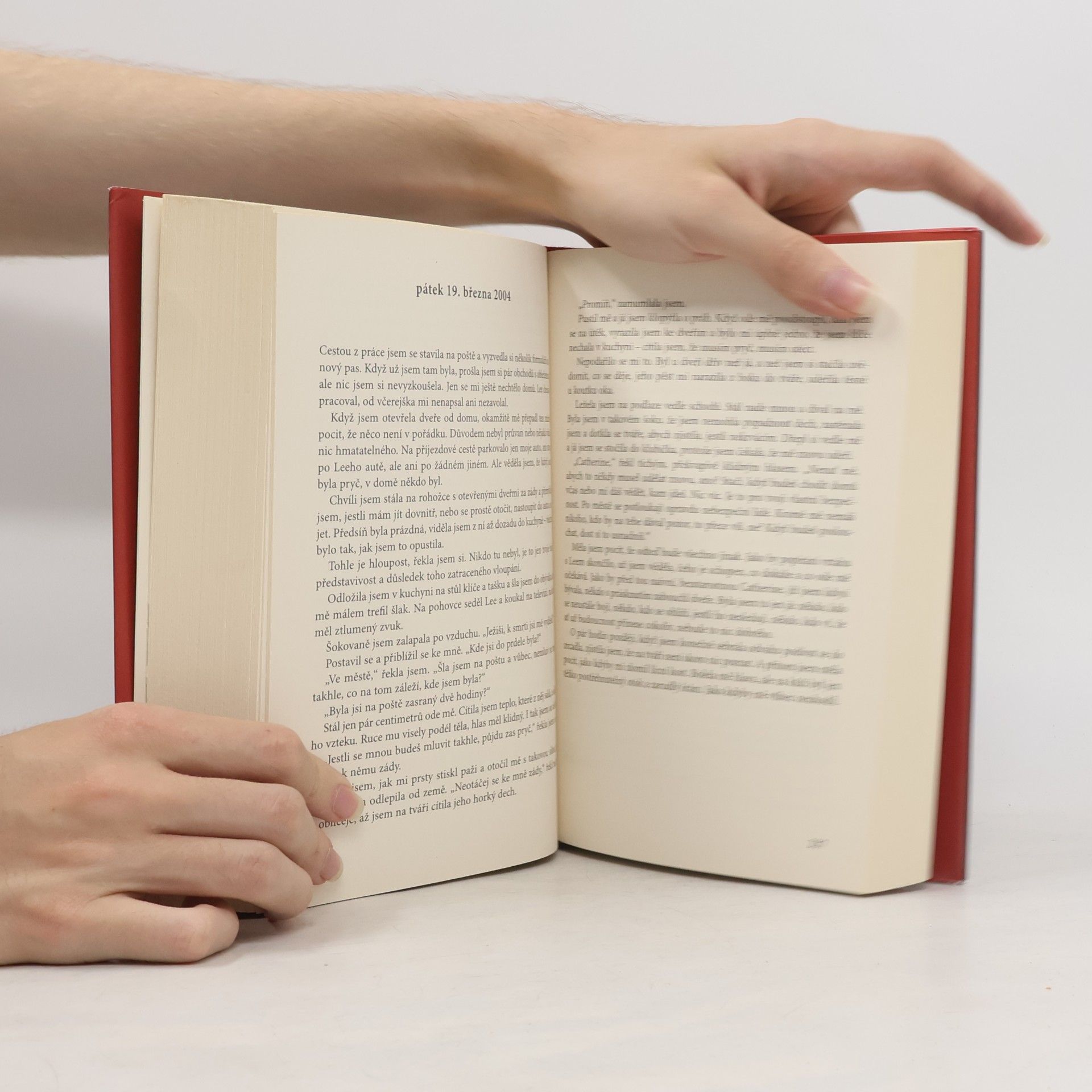 Elizabeth Haynes Do nejtemnějšího kouta