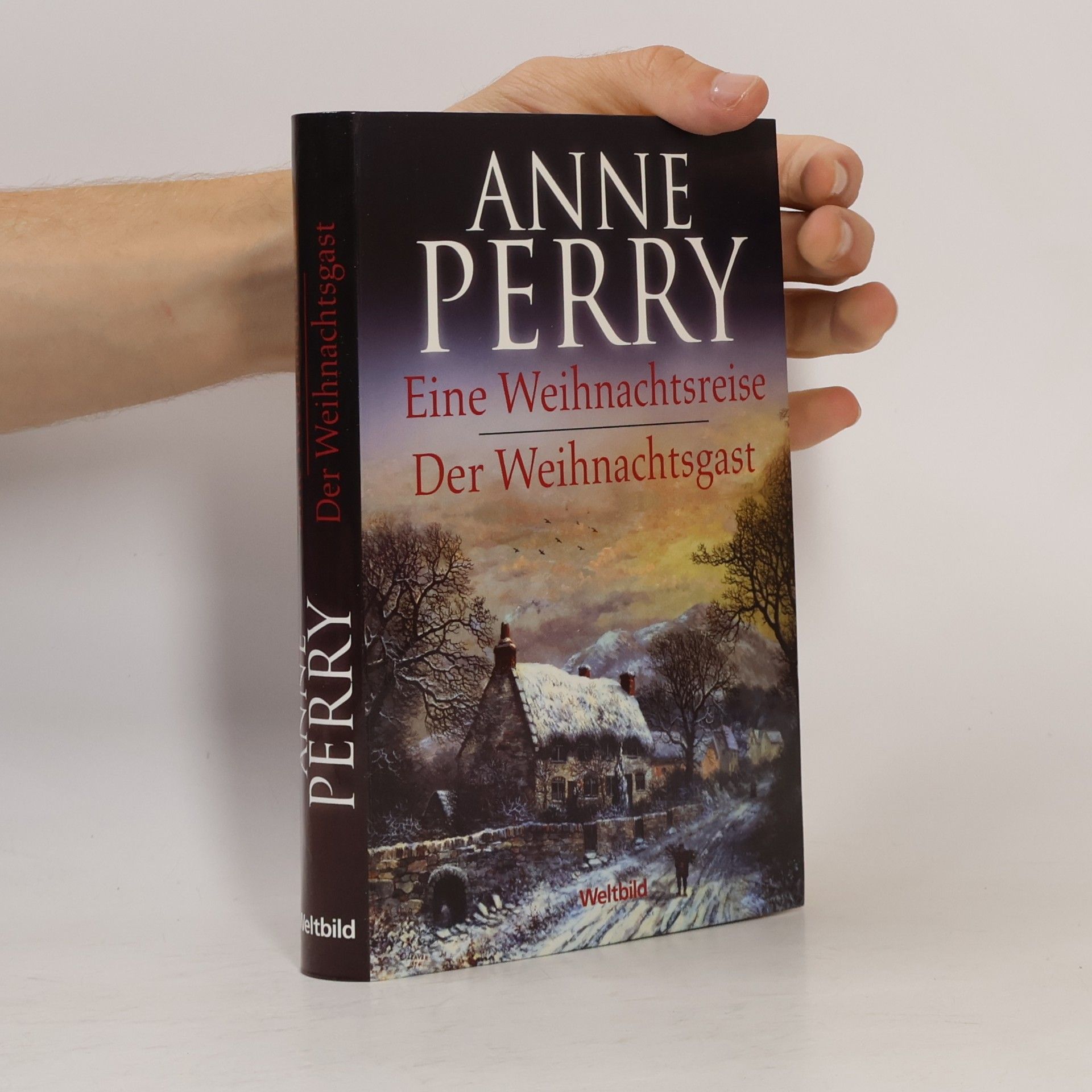 Anne Perry Eine Weihnachtsreise. Der Weihnachtsgast