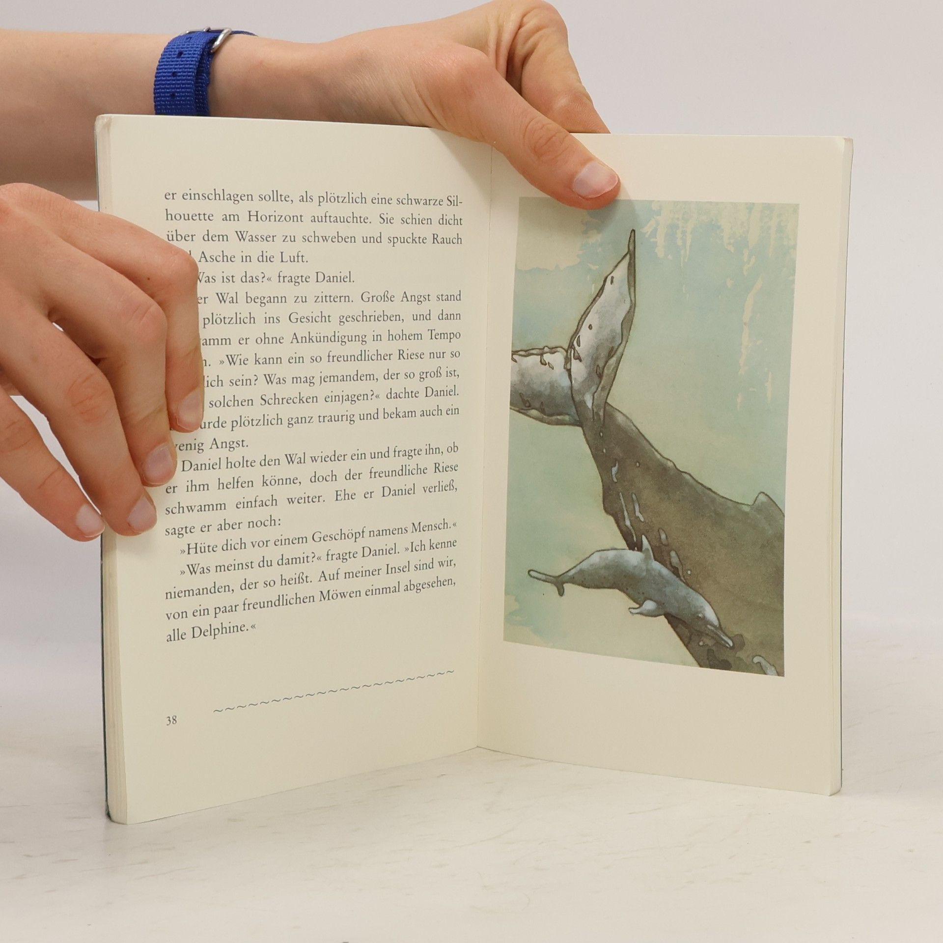 Sergio Bambaren Der träumende Delphin. Eine magische Reise zu dir selbst