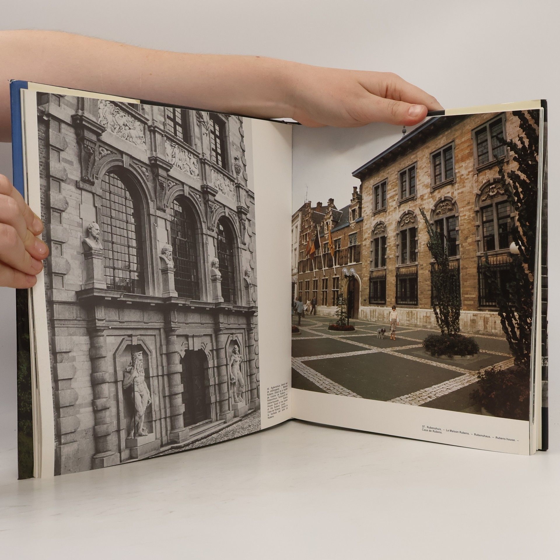 Remi de Cnodder Antwerpen / Anvers / Antwerpen / Antwerp / Amberes