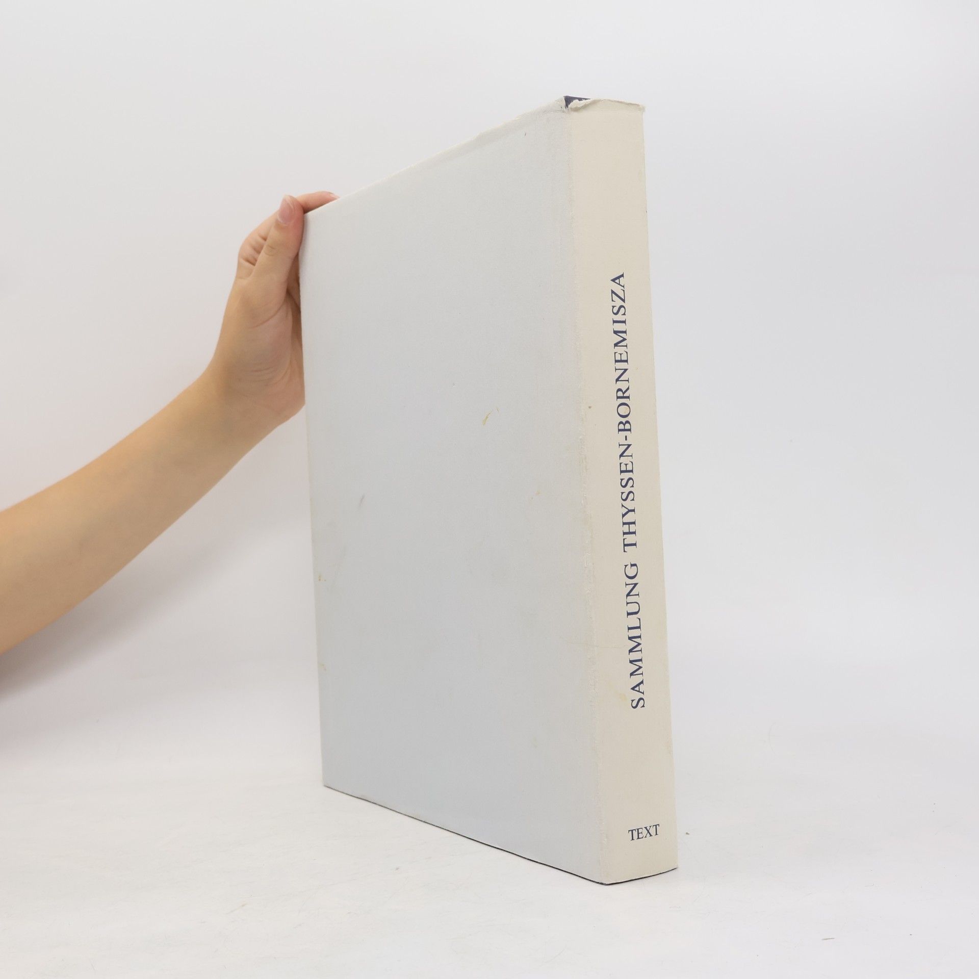 Autorenkollektiv Sammlung Thyssen-Bornemisza