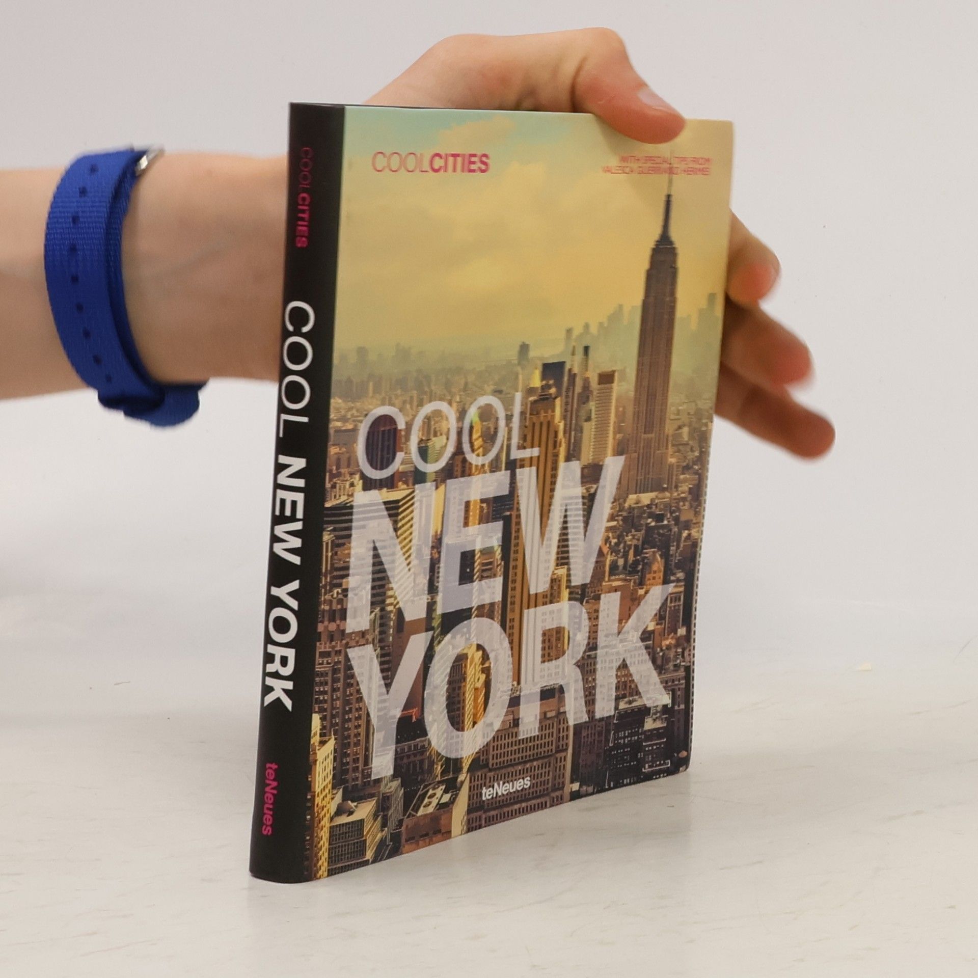 Valesca Guerrand Hermes Cool New York