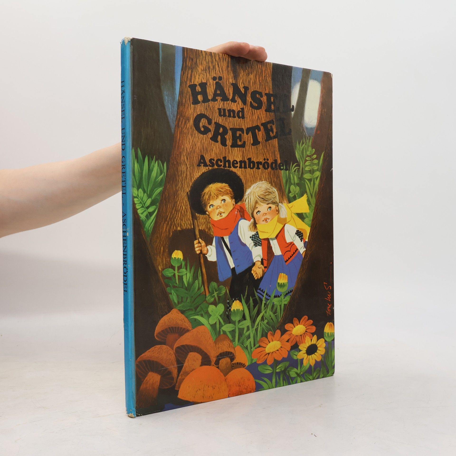 Collectif d'auteurs Hänsel und Gretel. Aschenbrödel