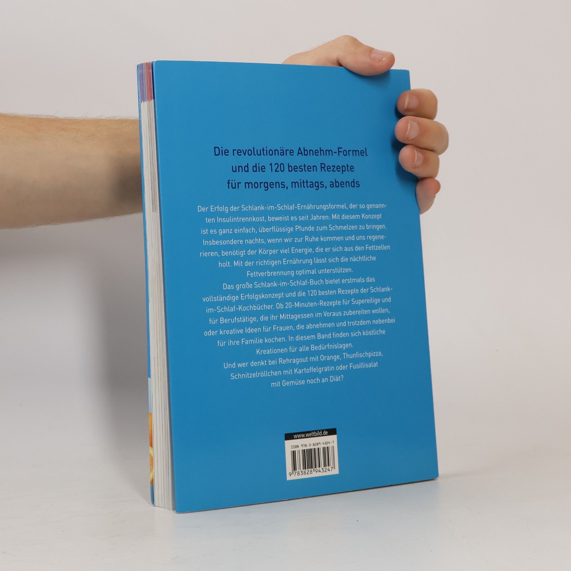 Detlef Pape Das grosse Schlank-im-Schlaf-Buch