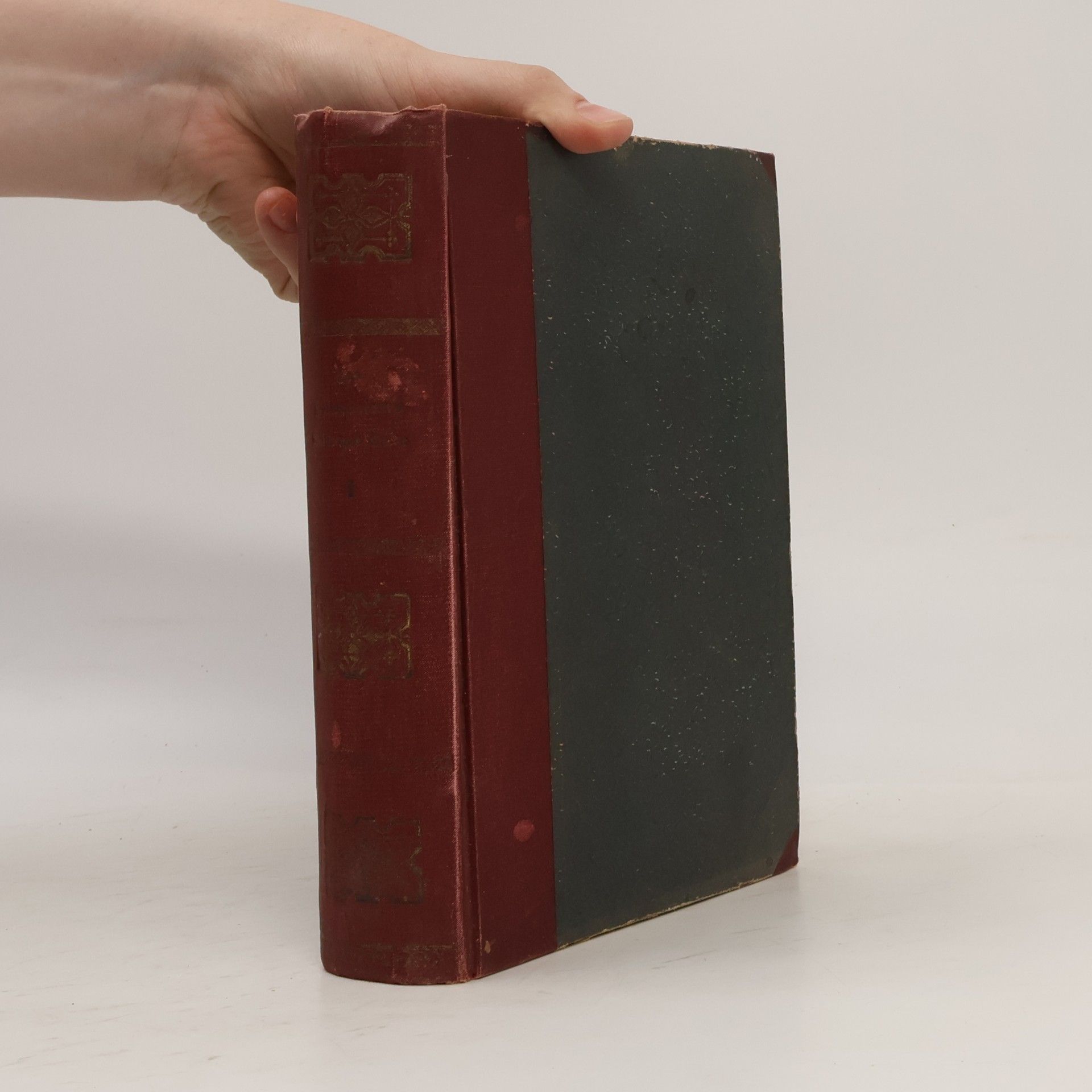 Emanuel Wurm Des Welteroberers Glück und Ende. Roman aus den Zeiten Napoleons I. 1