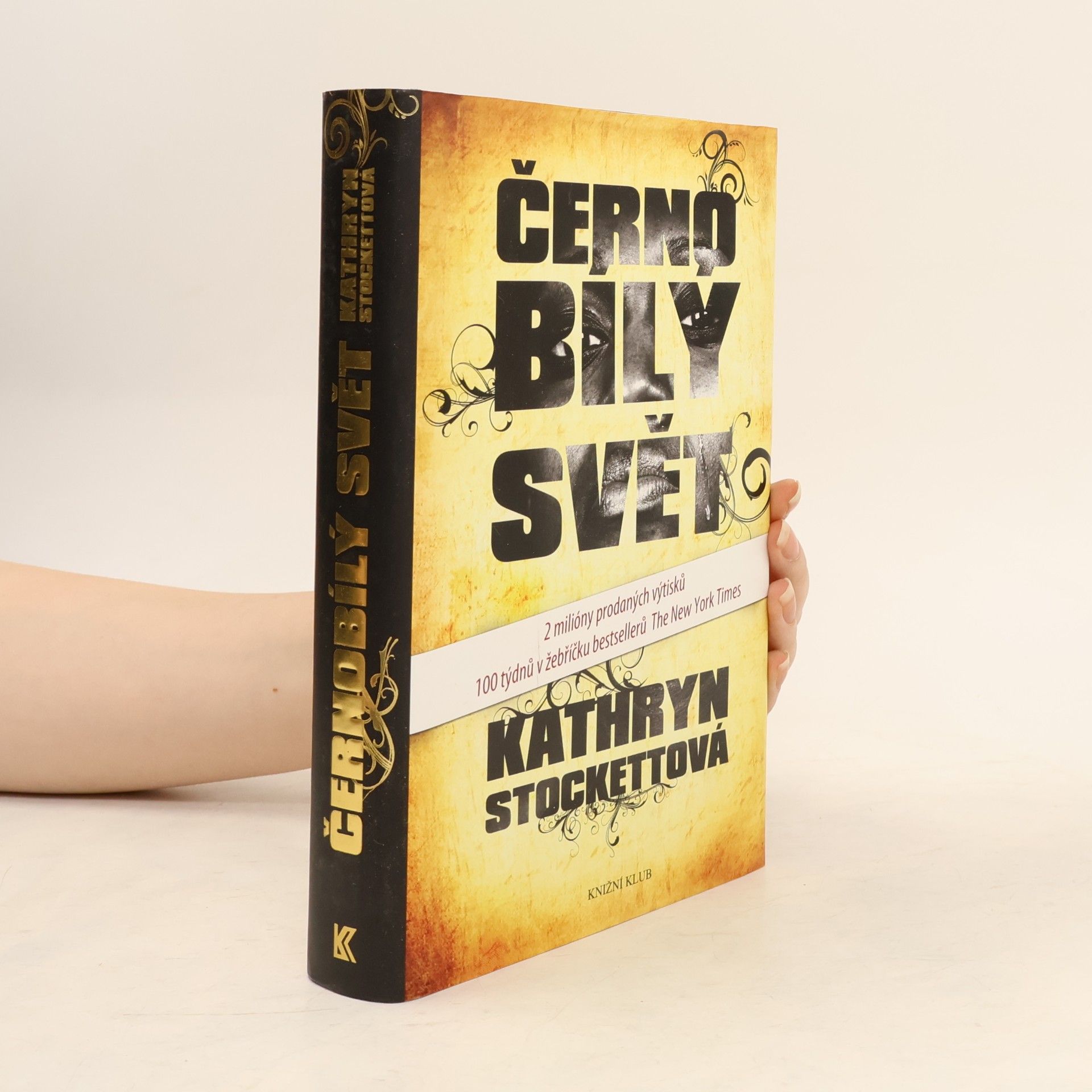 Kathryn Stockett Černobílý svět