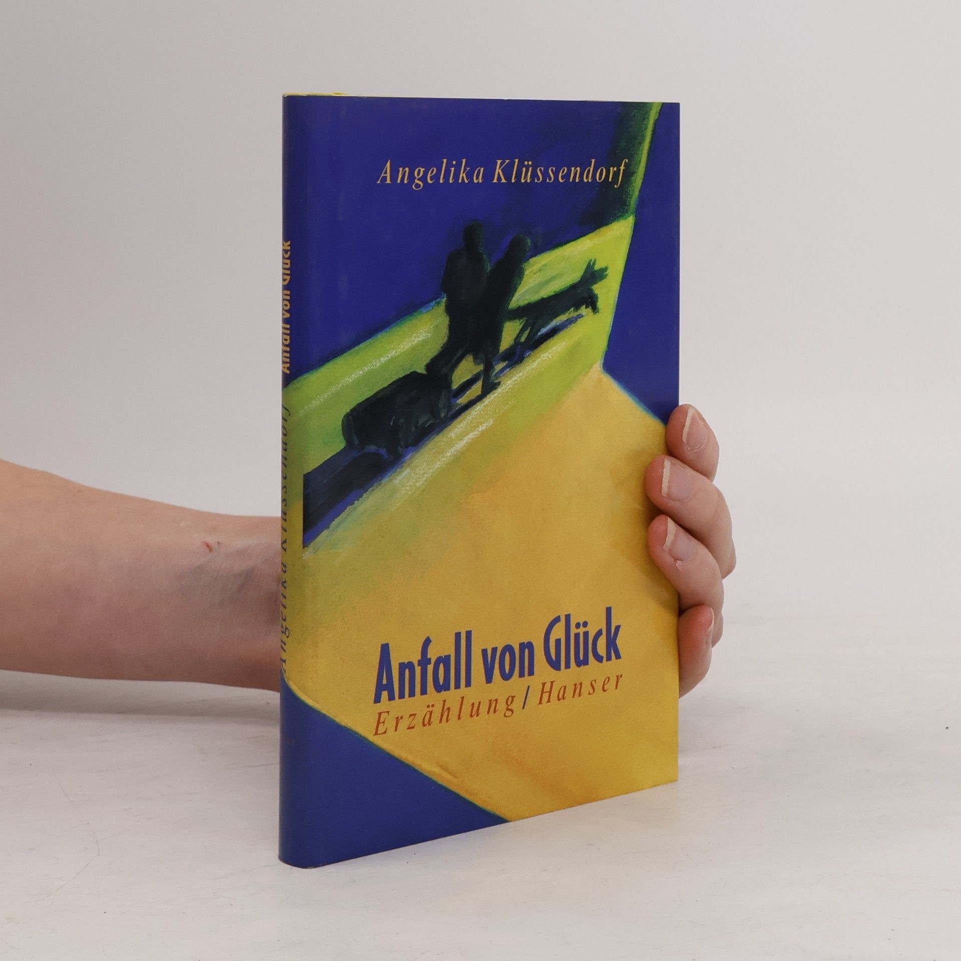 Angelika Klüssendorf Anfall von Glück