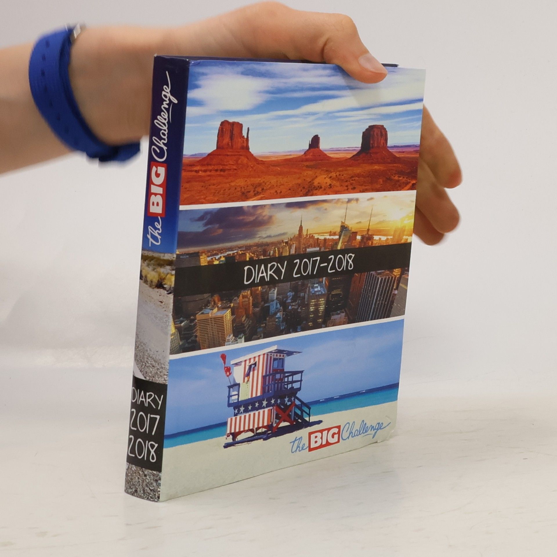 Karen Domanski The Big Challenge - Diary 2017-2018