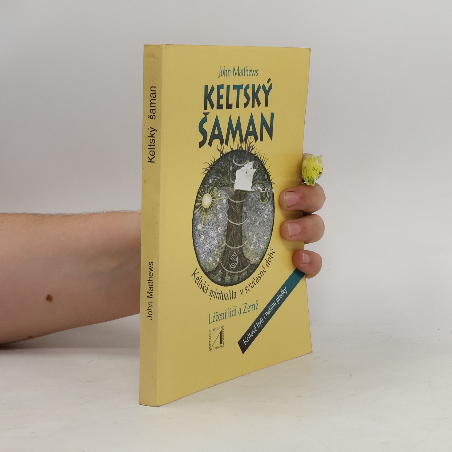 John Matthews Keltský šaman
