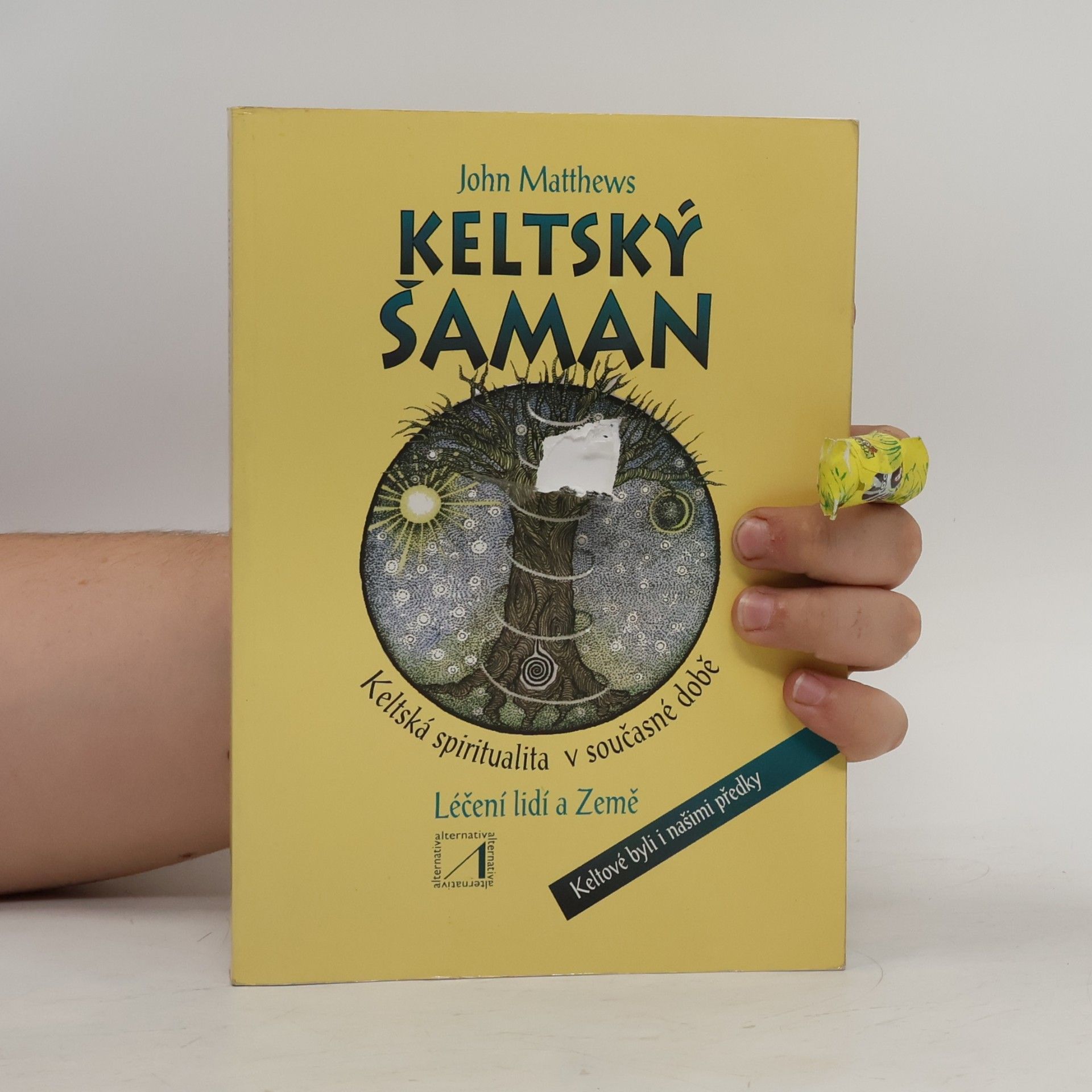 John Matthews Keltský šaman