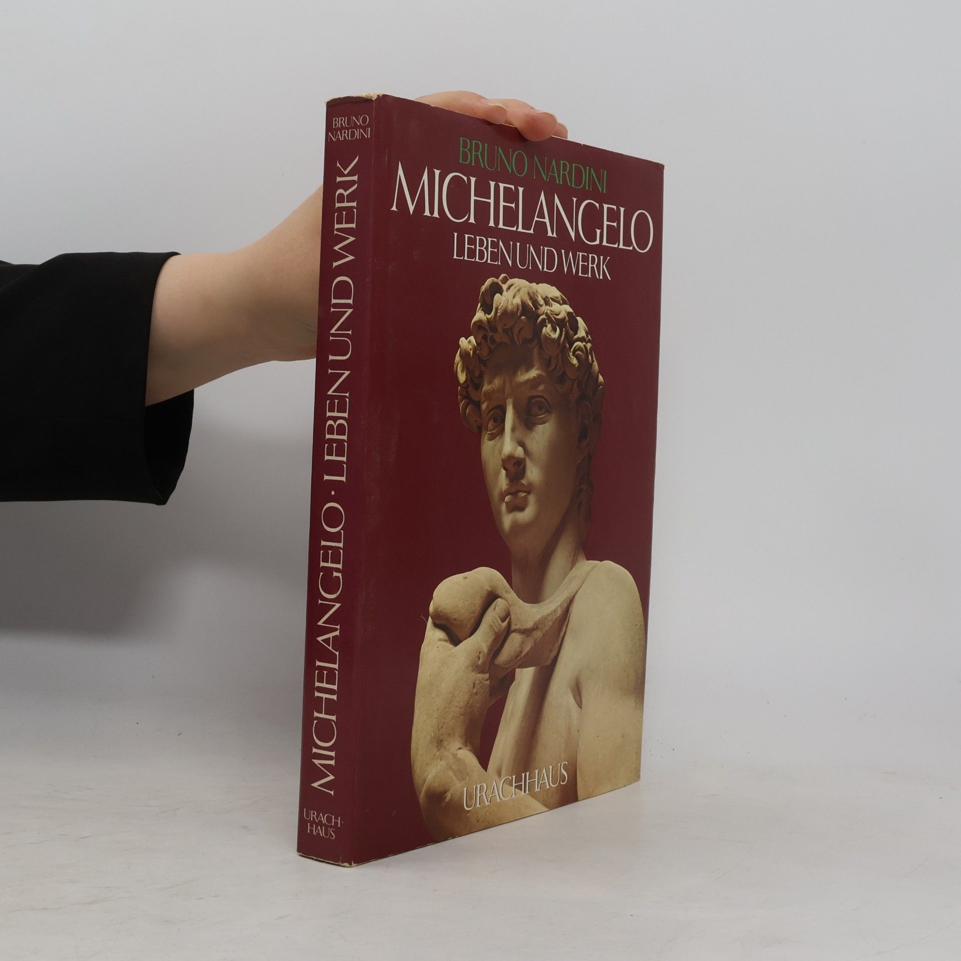 Bruno Nardini Michelangelo
