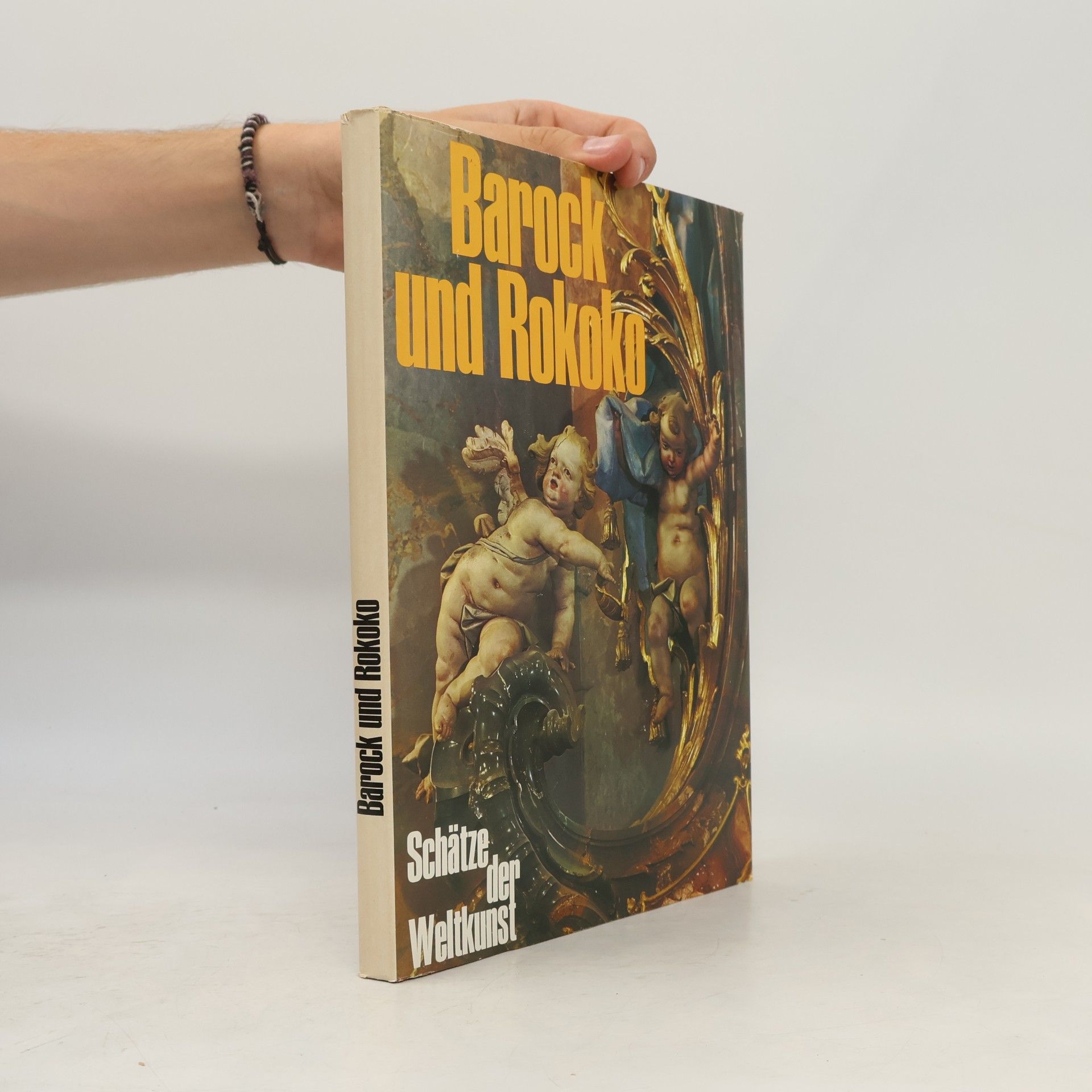 Kolektiv autorů Barock und Rokoko
