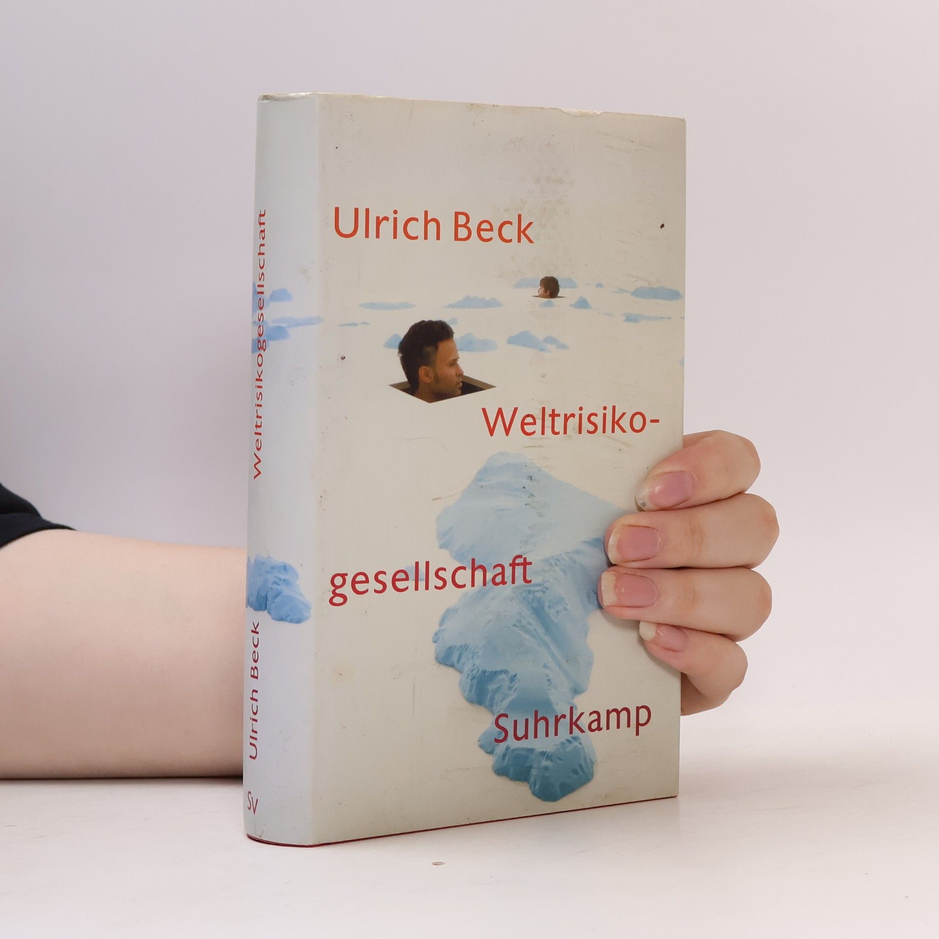 Ulrich Beck Weltrisikogesellschaft