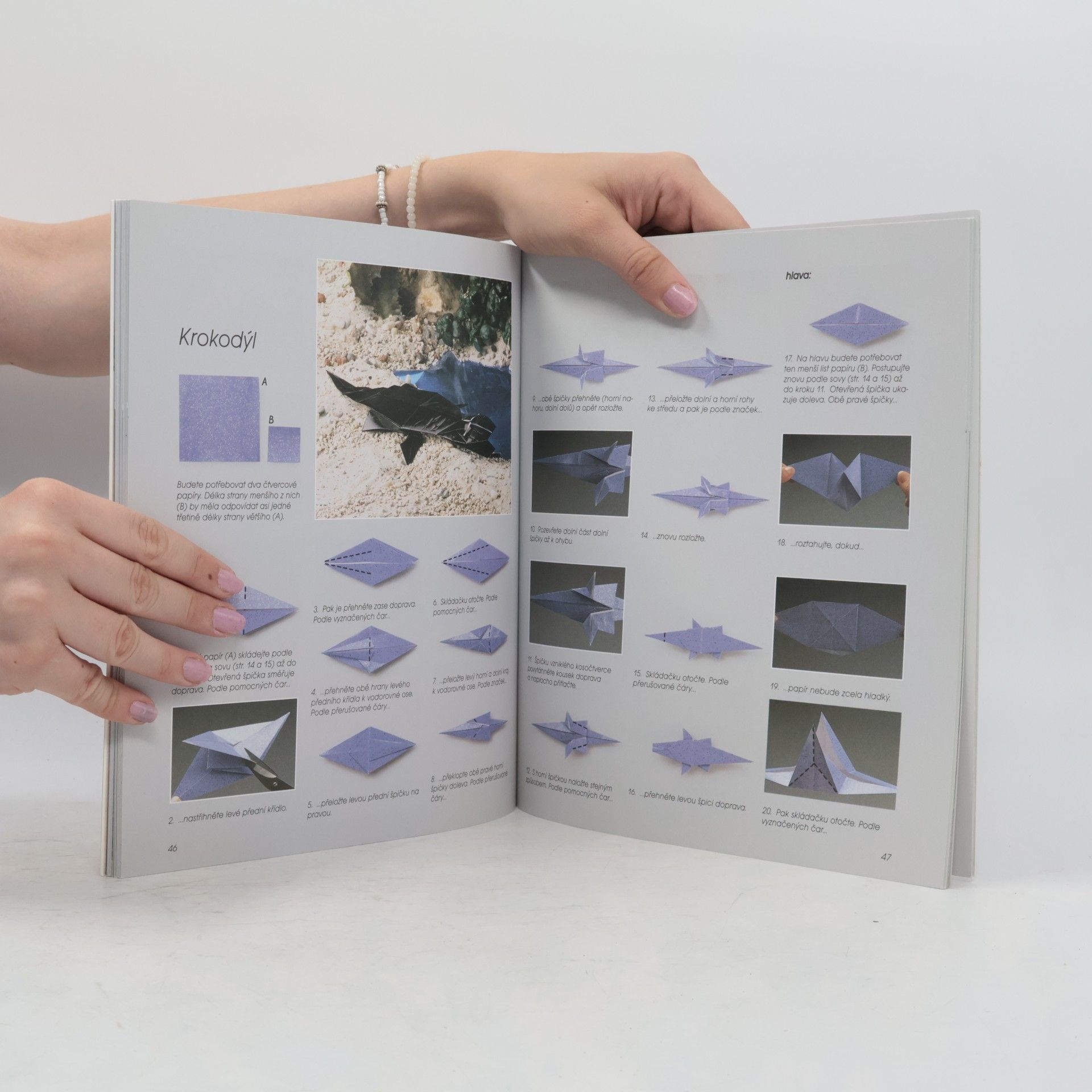 Zülal AytüreScheele Kouzelné origami: Svět papírových zvířátek