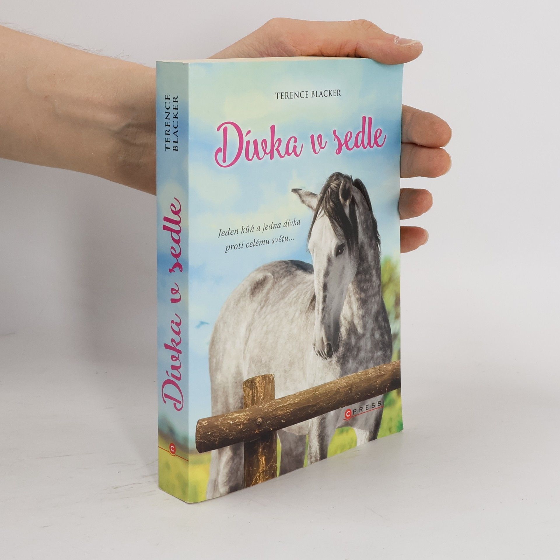 Terence Blacker Dívka v sedle