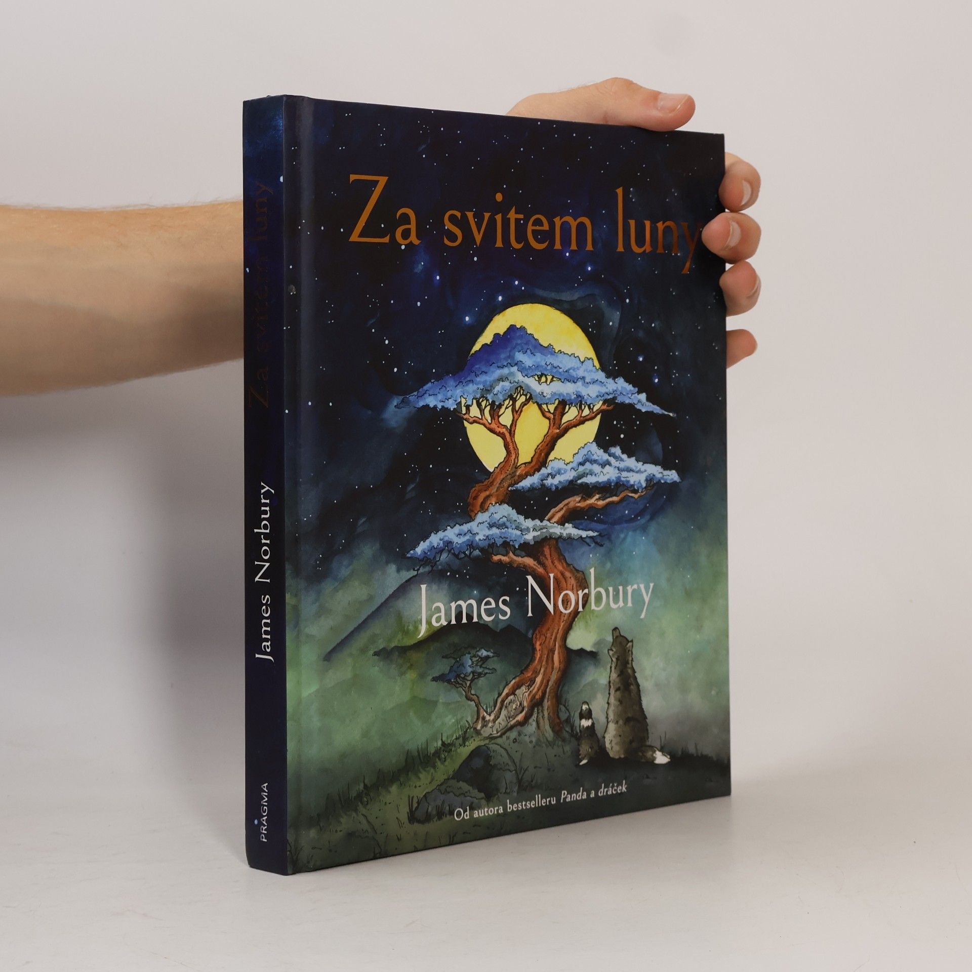 James Norbury Za svitem luny