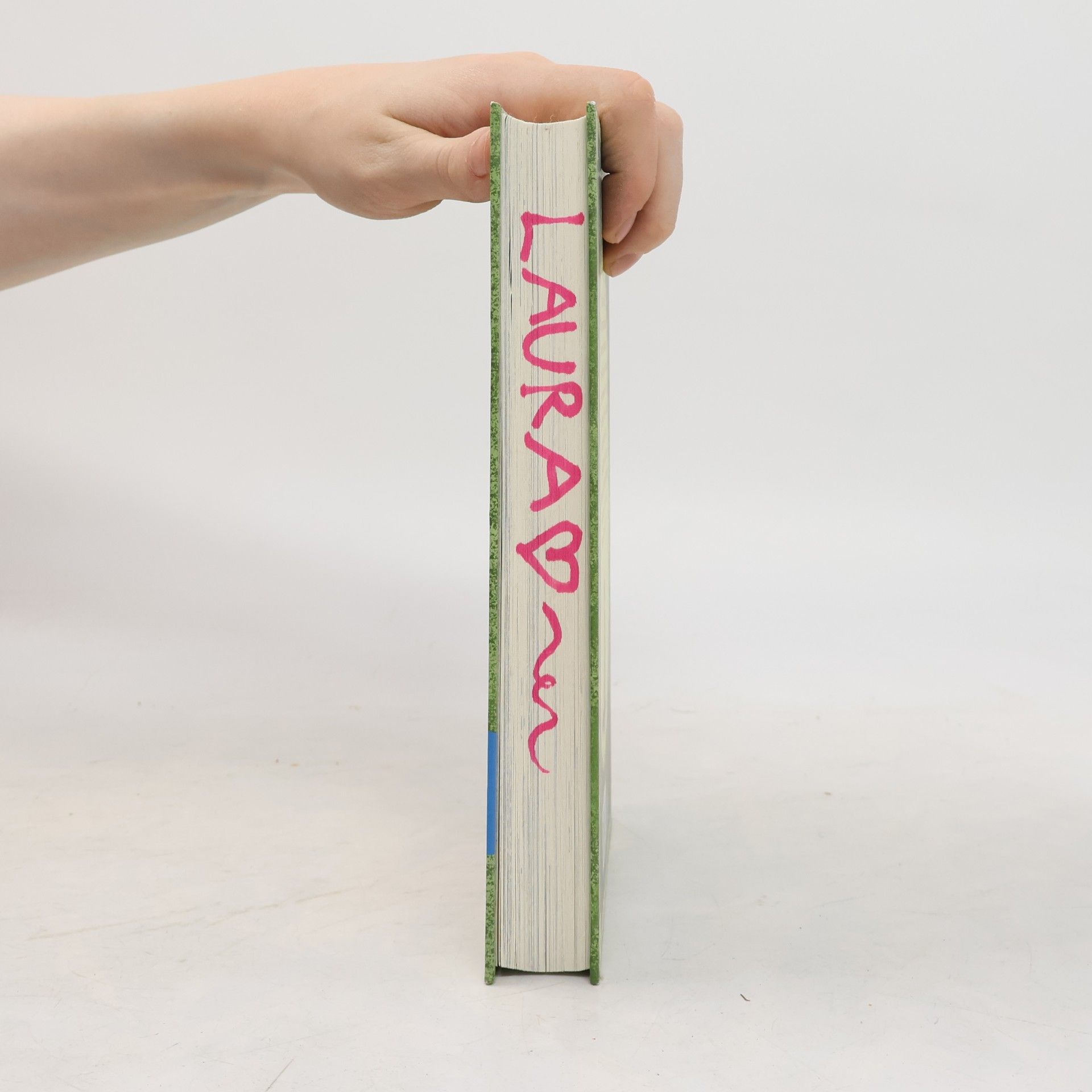 Martina Baumbach Die Tierwandler. Unser Lehrer ist ein Elch