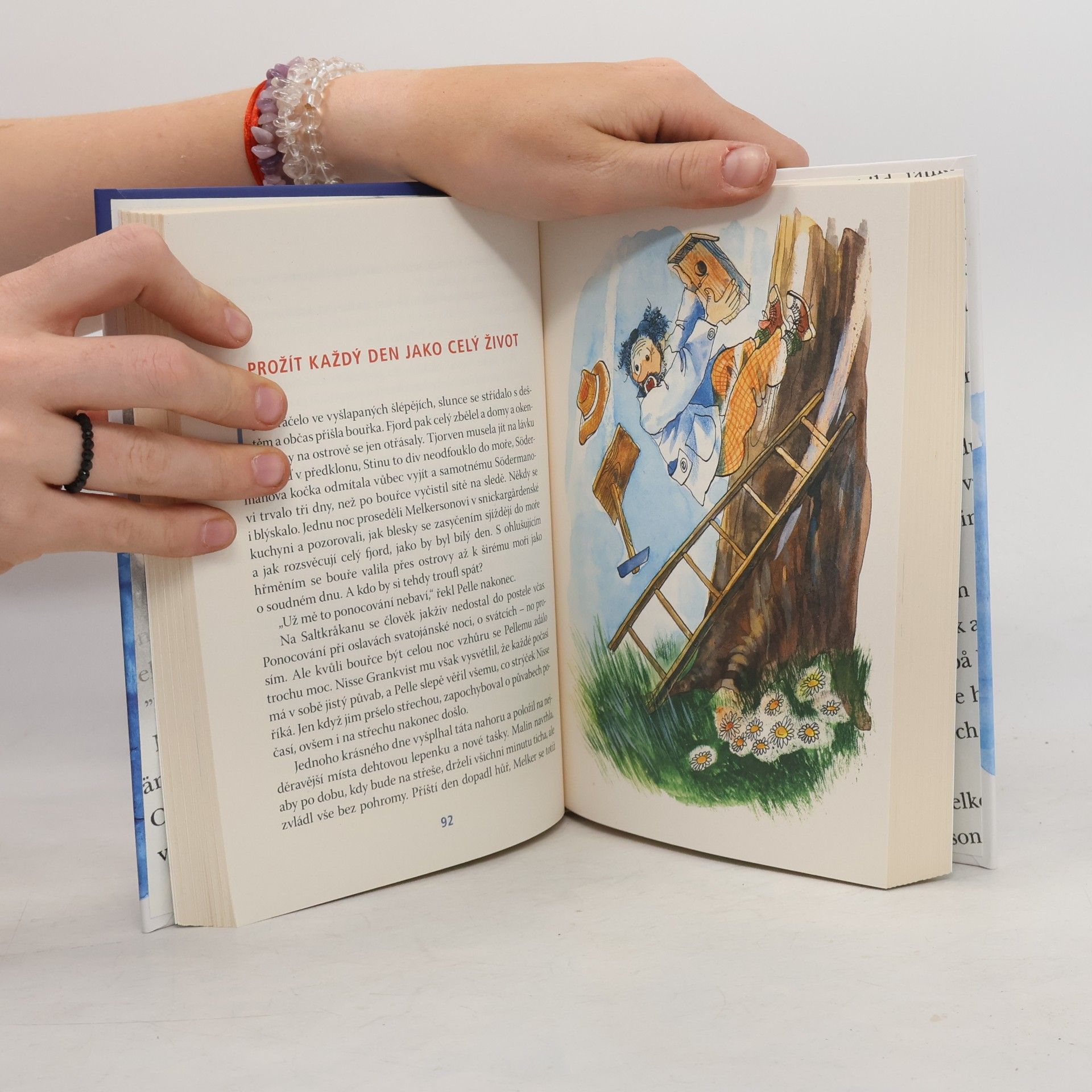 Astrid Lindgren My z ostrova Saltkråkan
