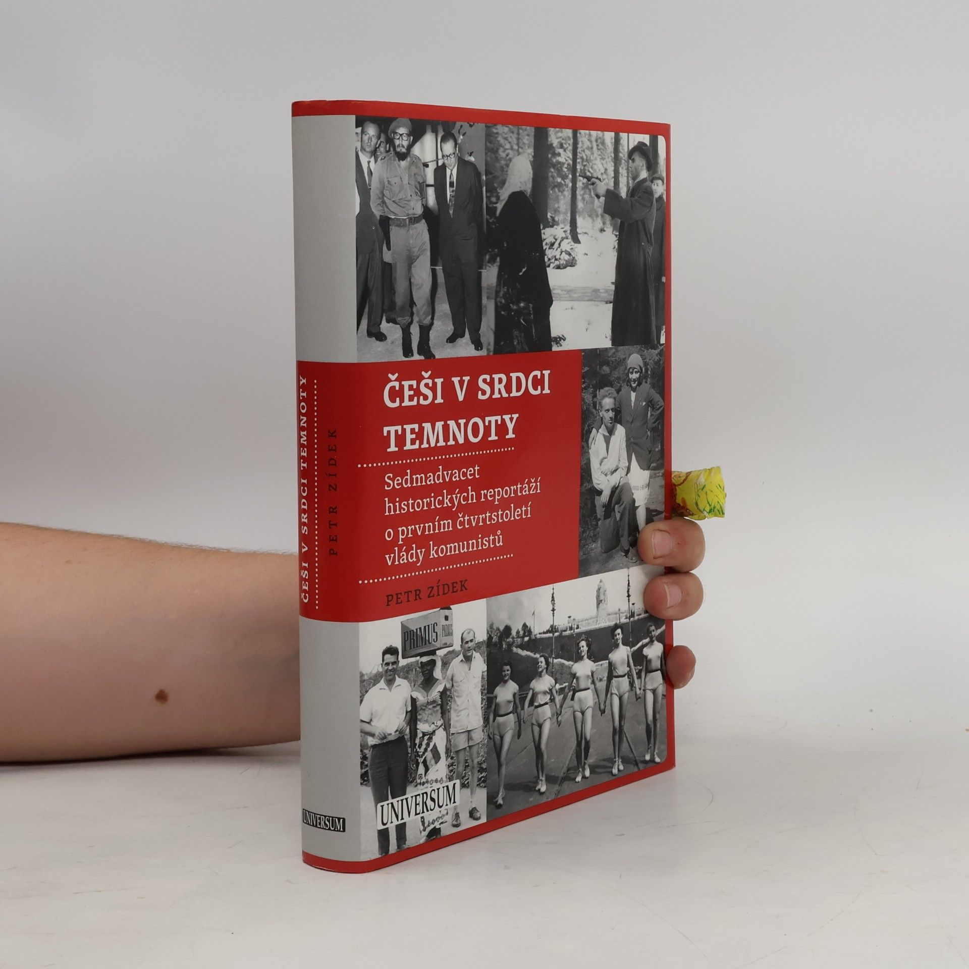 Petr Zídek Češi v srdci temnoty: Sedmadvacet historických reportáží o prvním čtvrtstoletí komunistů