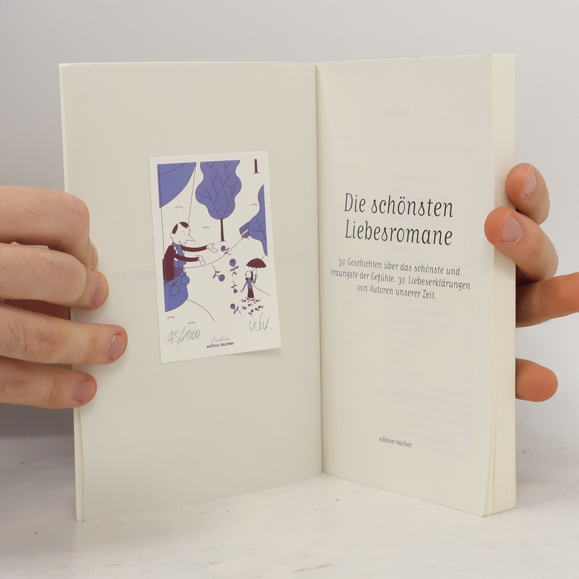 Die schönsten Liebesromane