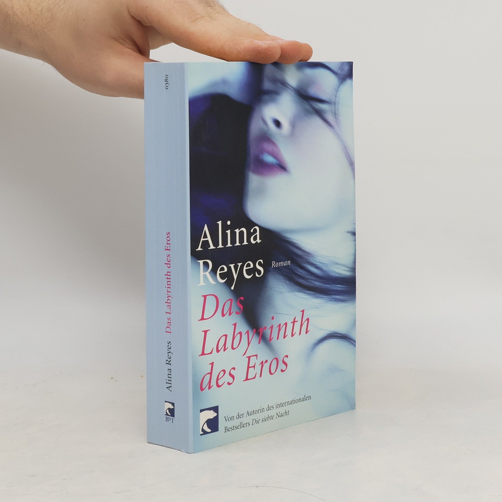Alina Reyes Das Labyrinth des Eros