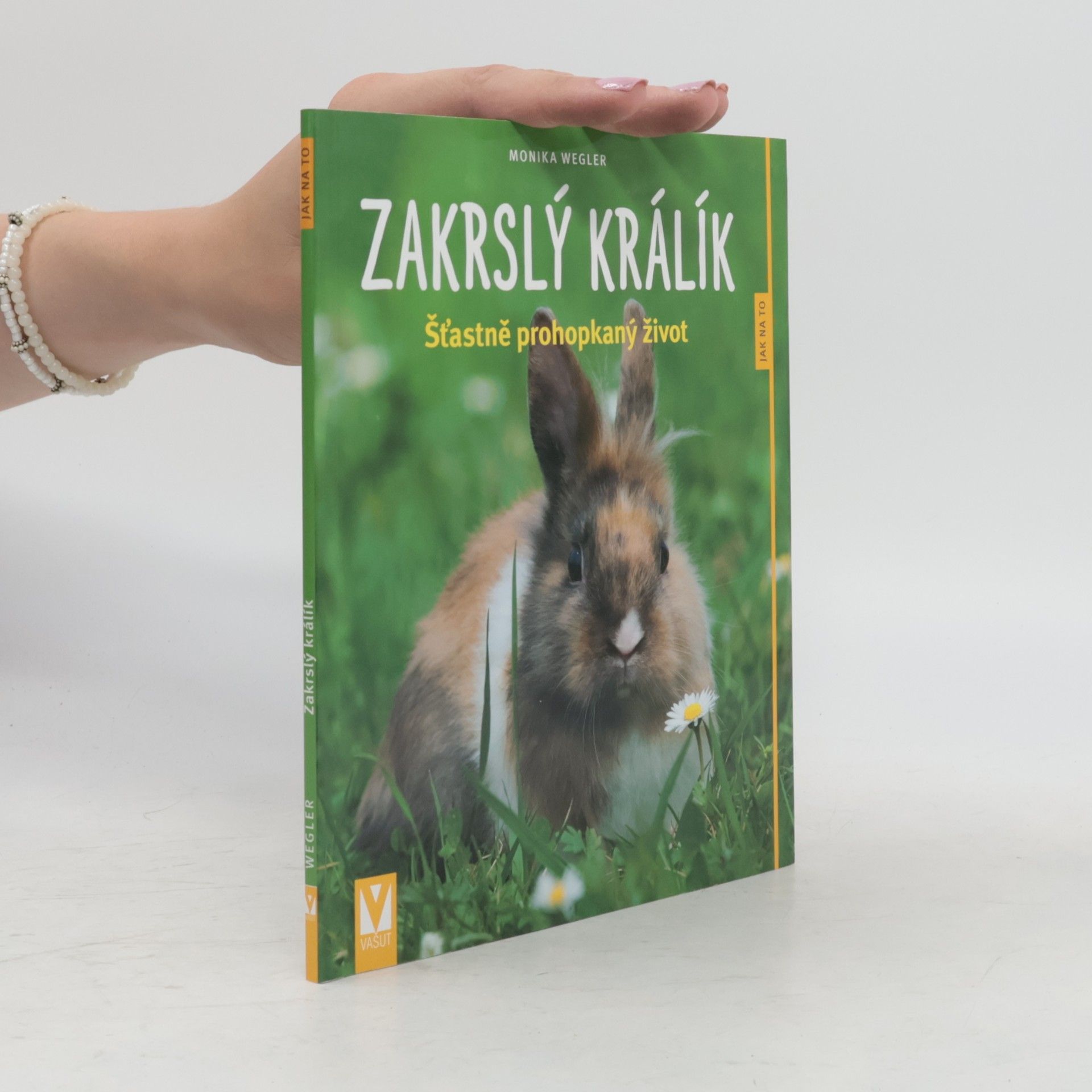 Monika Wegler Zakrslý králík