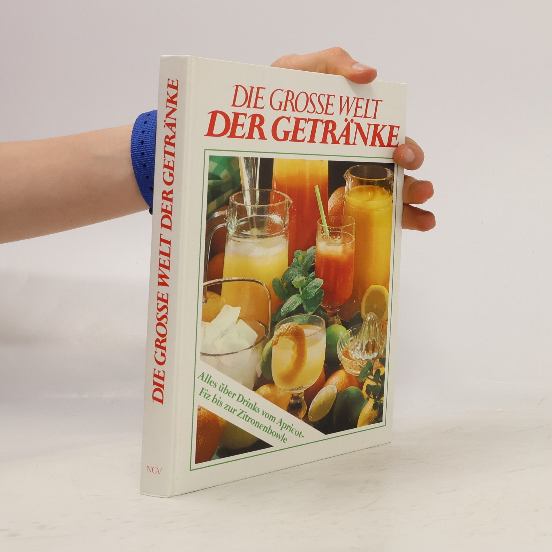 Kolektiv autorů Die große Welt der Getränke