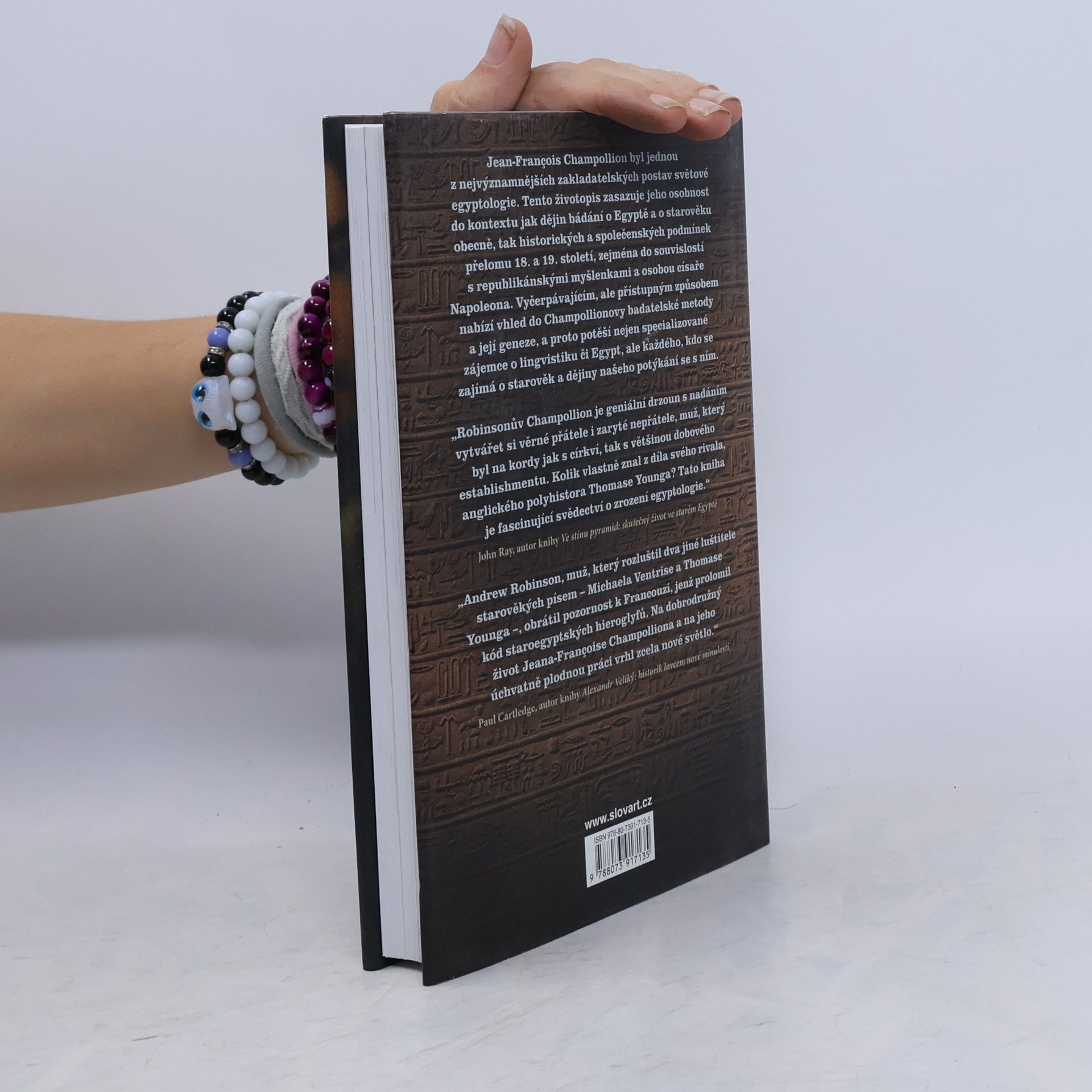 Andrew Robinson Muž, který rozluštil hieroglyfy