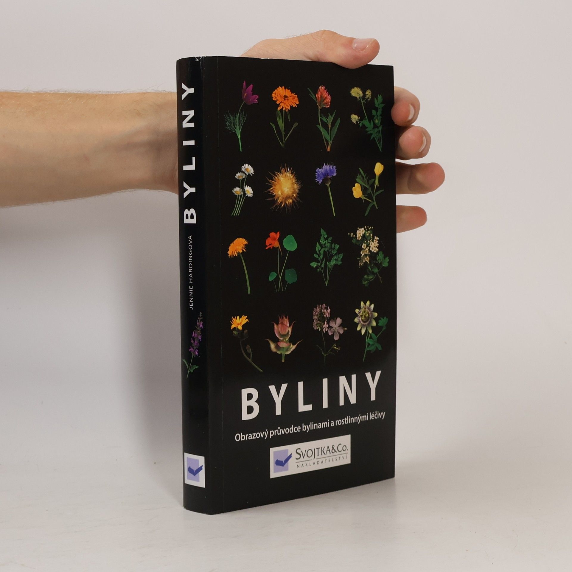 Jennie Harding Byliny: Obrazový průvodce bylinami a rostlinnými léčivy