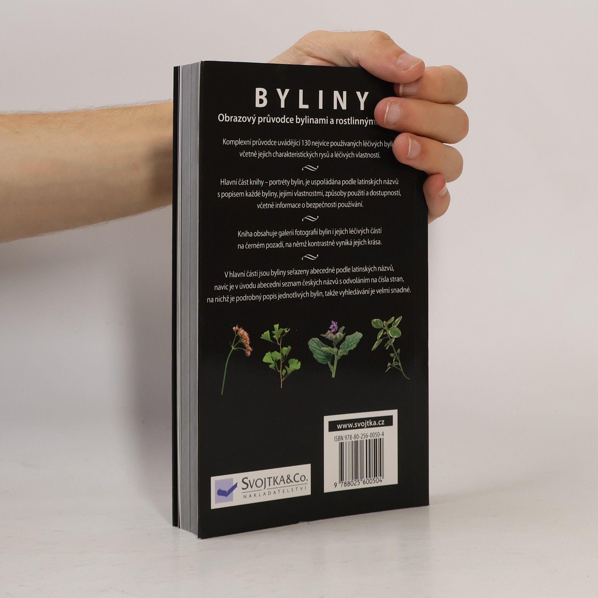 Jennie Harding Byliny: Obrazový průvodce bylinami a rostlinnými léčivy