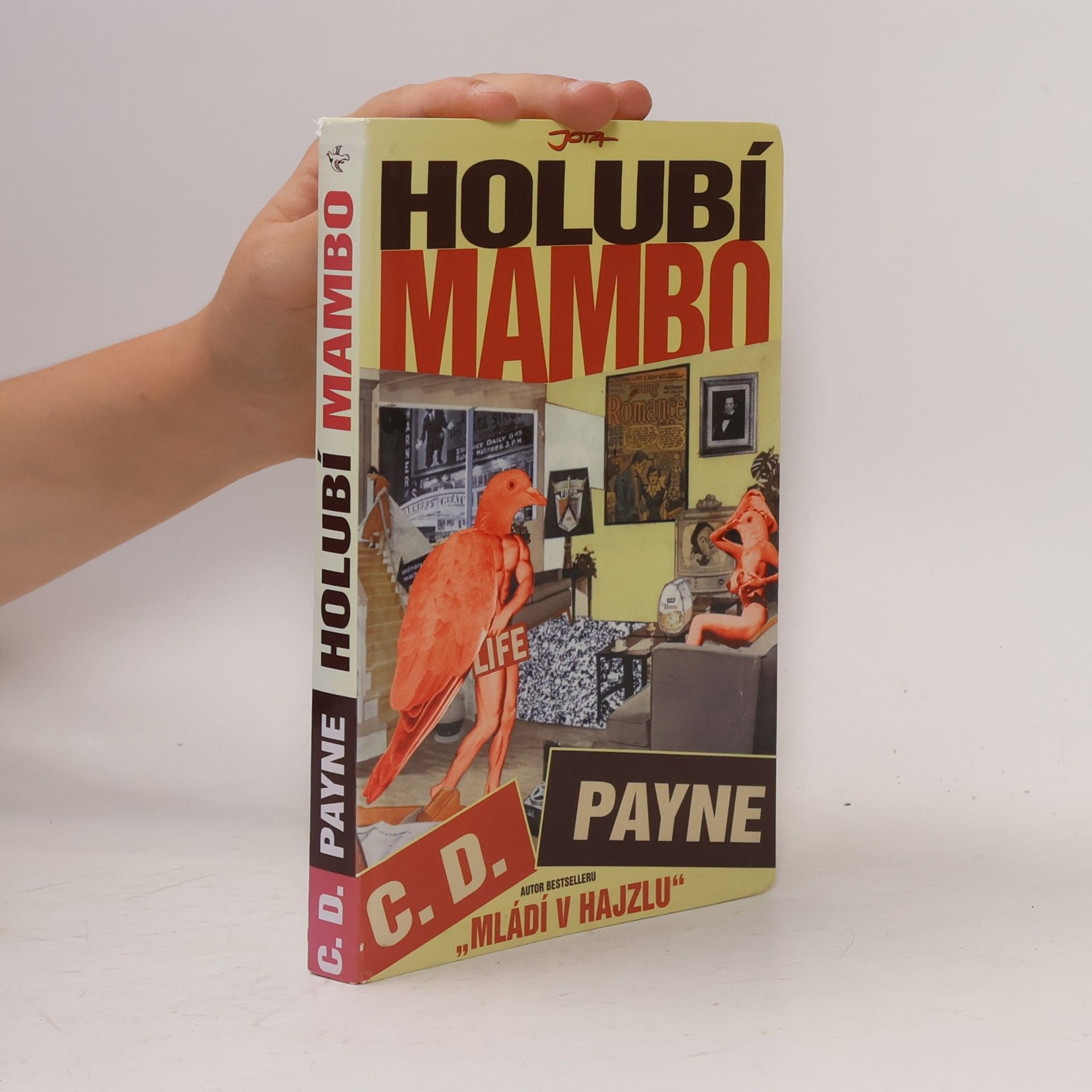 Tamara Váňová Holubí mambo