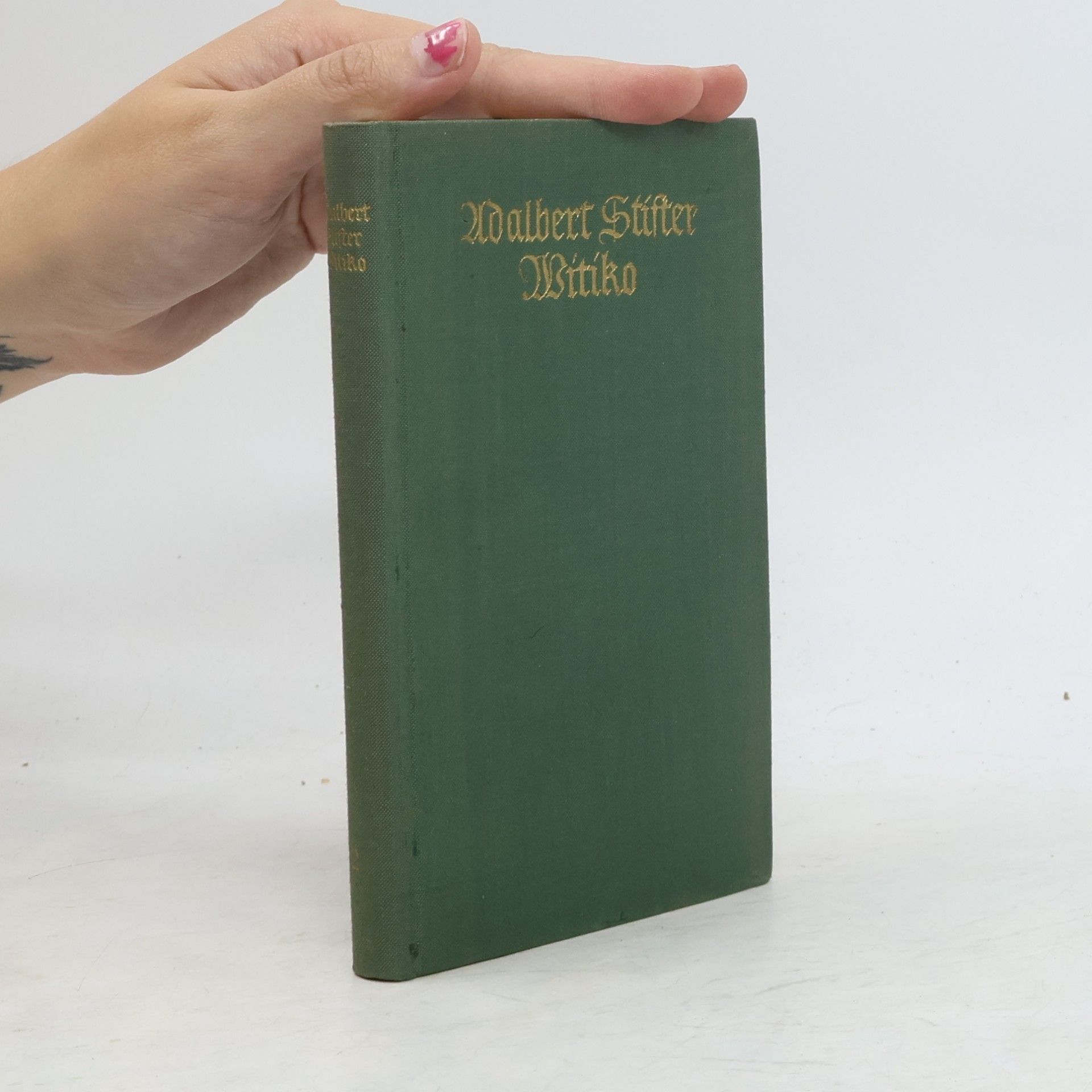 Adalbert Stifter Witiko