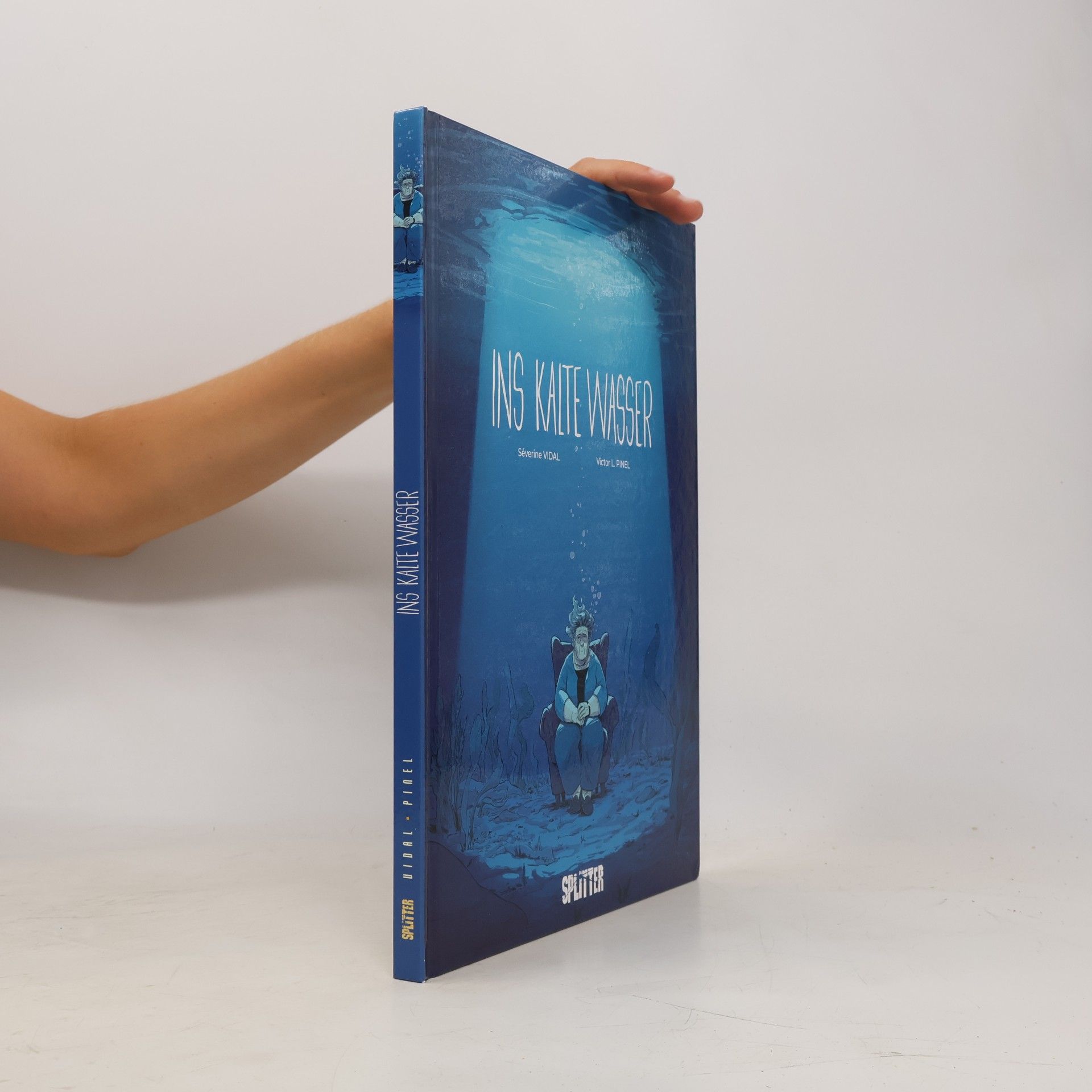 Séverine Vidal Ins kalte Wasser