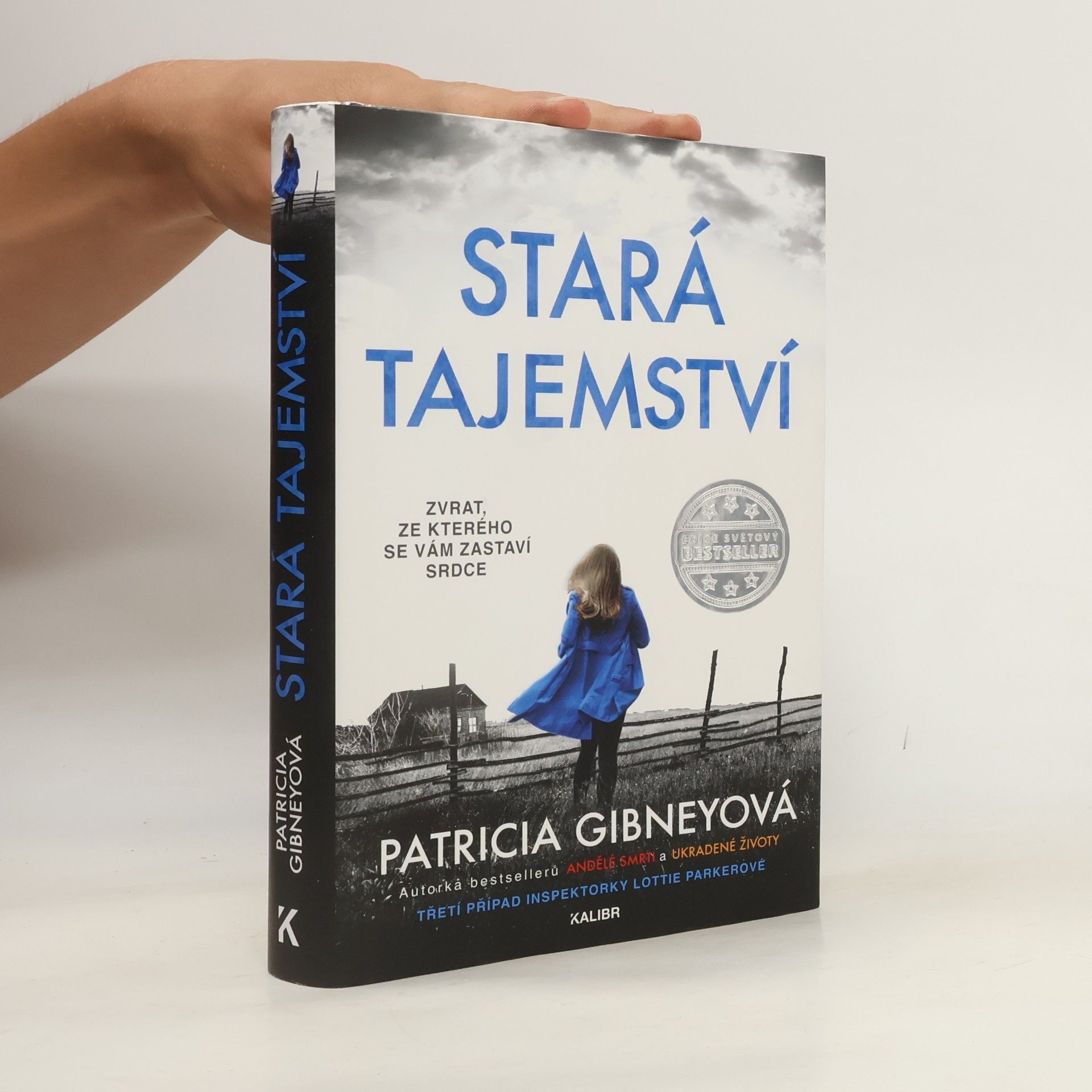 Patricia Gibney Stará tajemství