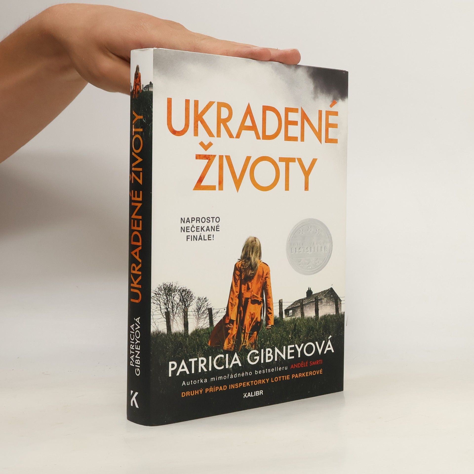 Patricia Gibney Ukradené životy