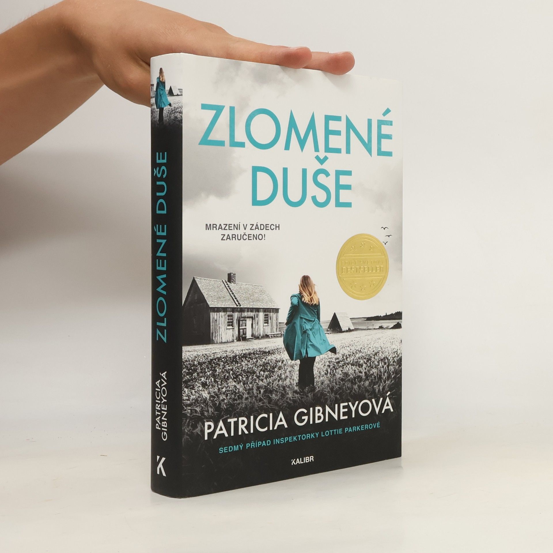 Patricia Gibney Zlomené Duše