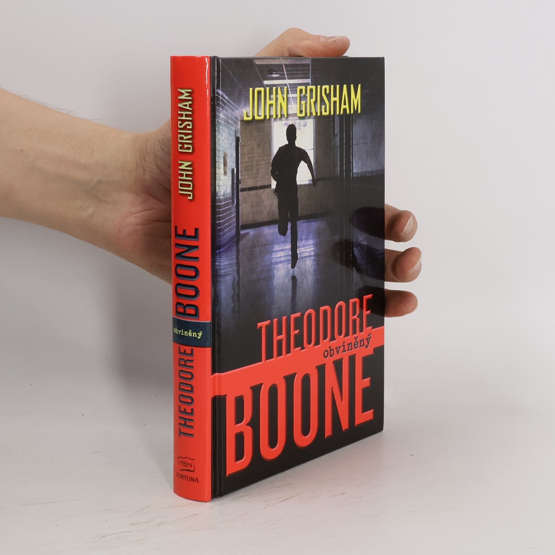 John Grisham Theodore Boone : obviněný