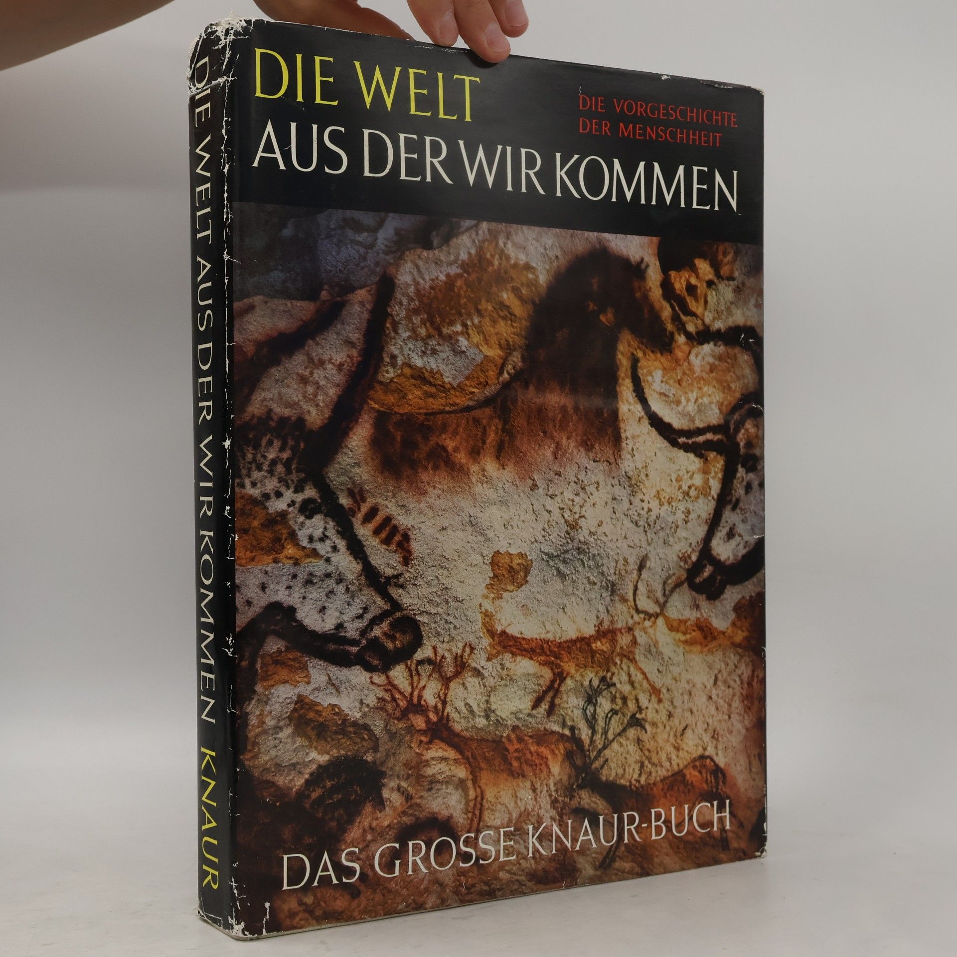 Kolektiv autorů Die Welt aus der wirkommen. Knaur