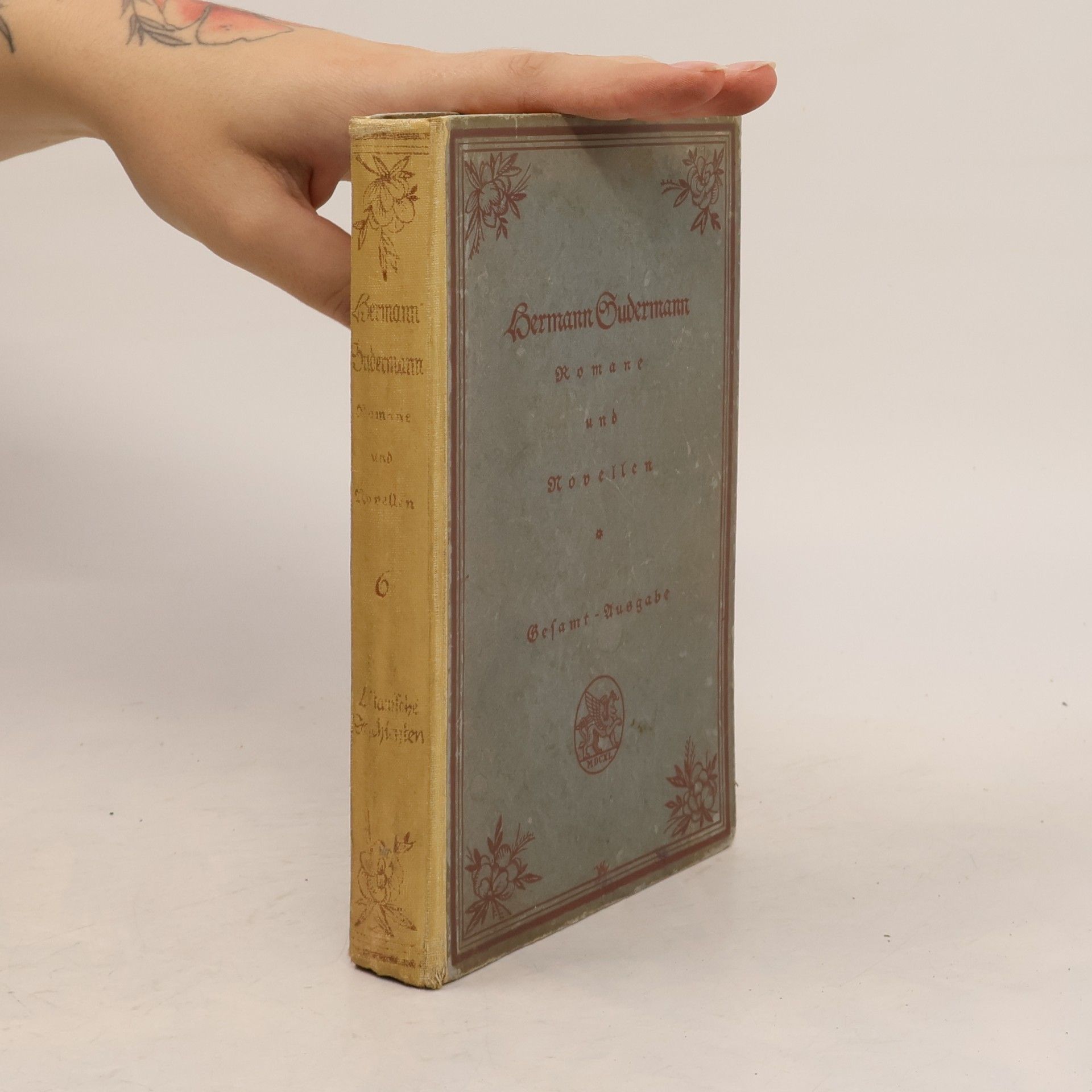 Hermann Südermann Romane und Novellen 6