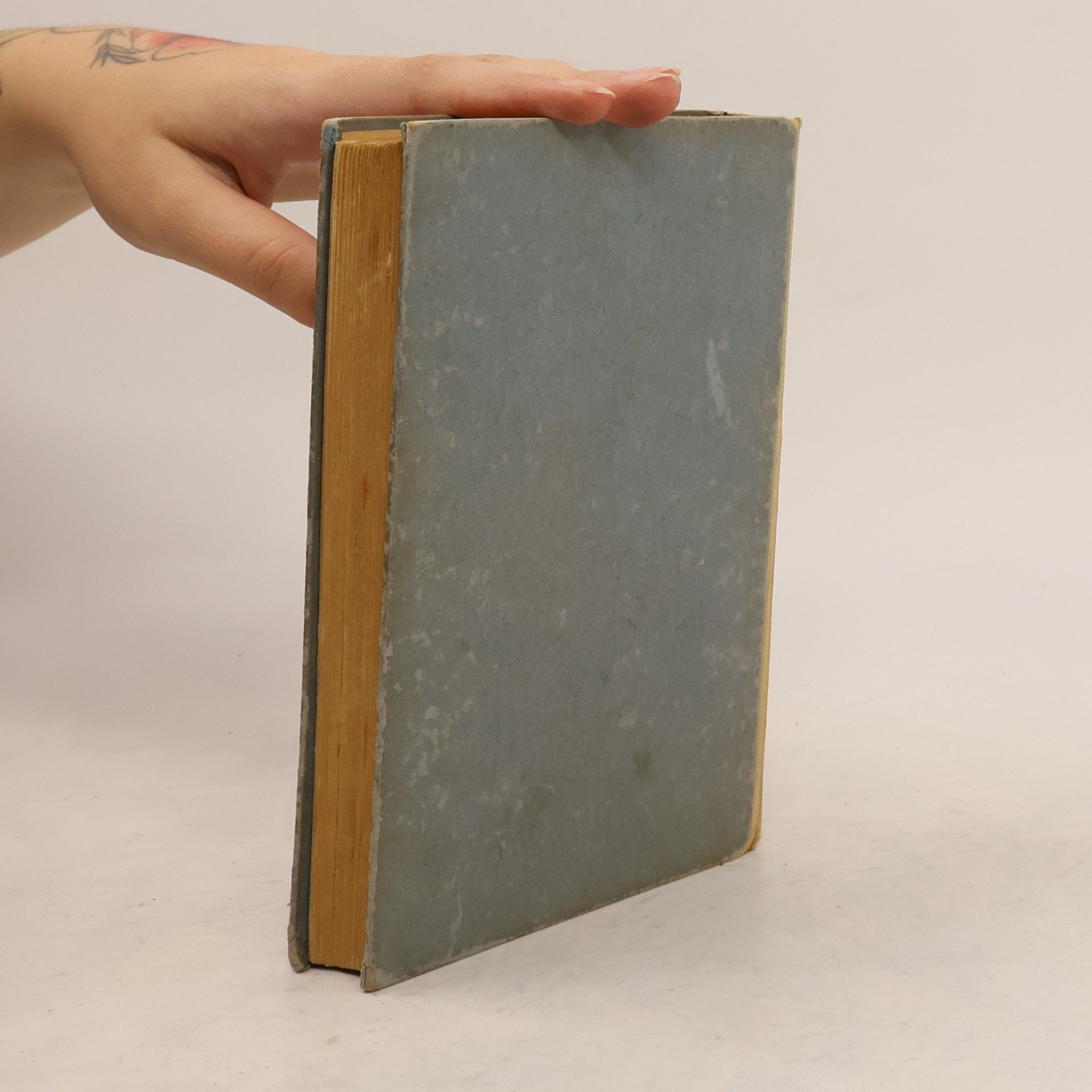 Hermann Südermann Romane und Novellen 6